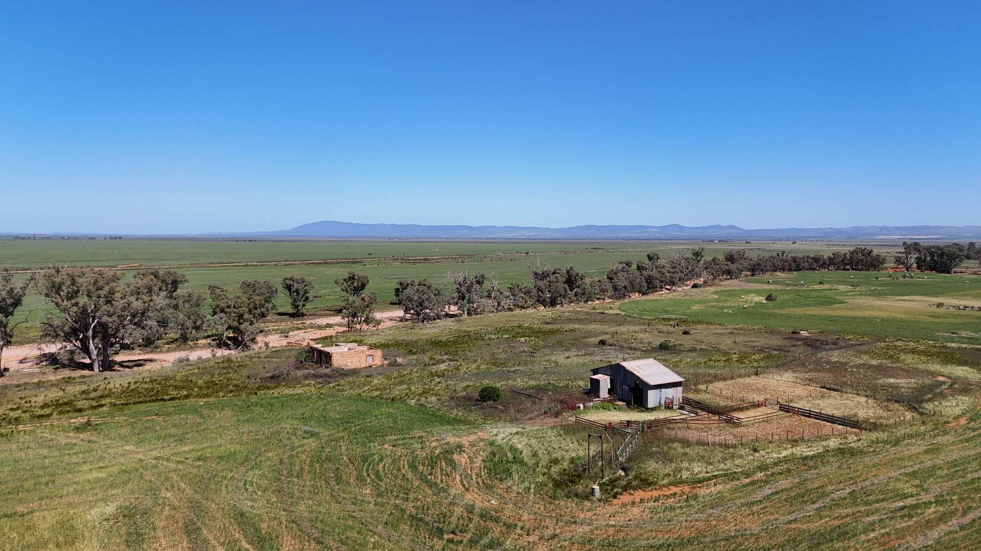 'Forbes's' Wilmington Road, Hammond For Sale by Farmbuy.com - image 14