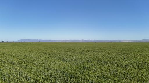 'Forbes's' Wilmington Road, Hammond SA 5431