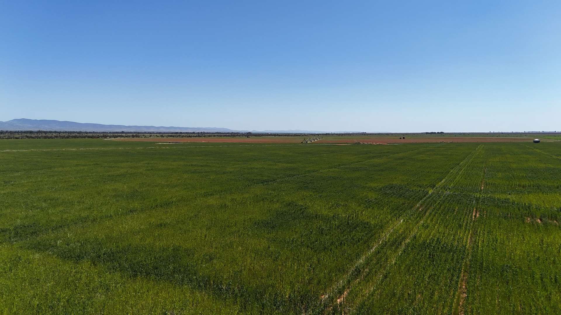 'Willochra' Willochra Road, Wilmington For Sale by Farmbuy.com - image 3