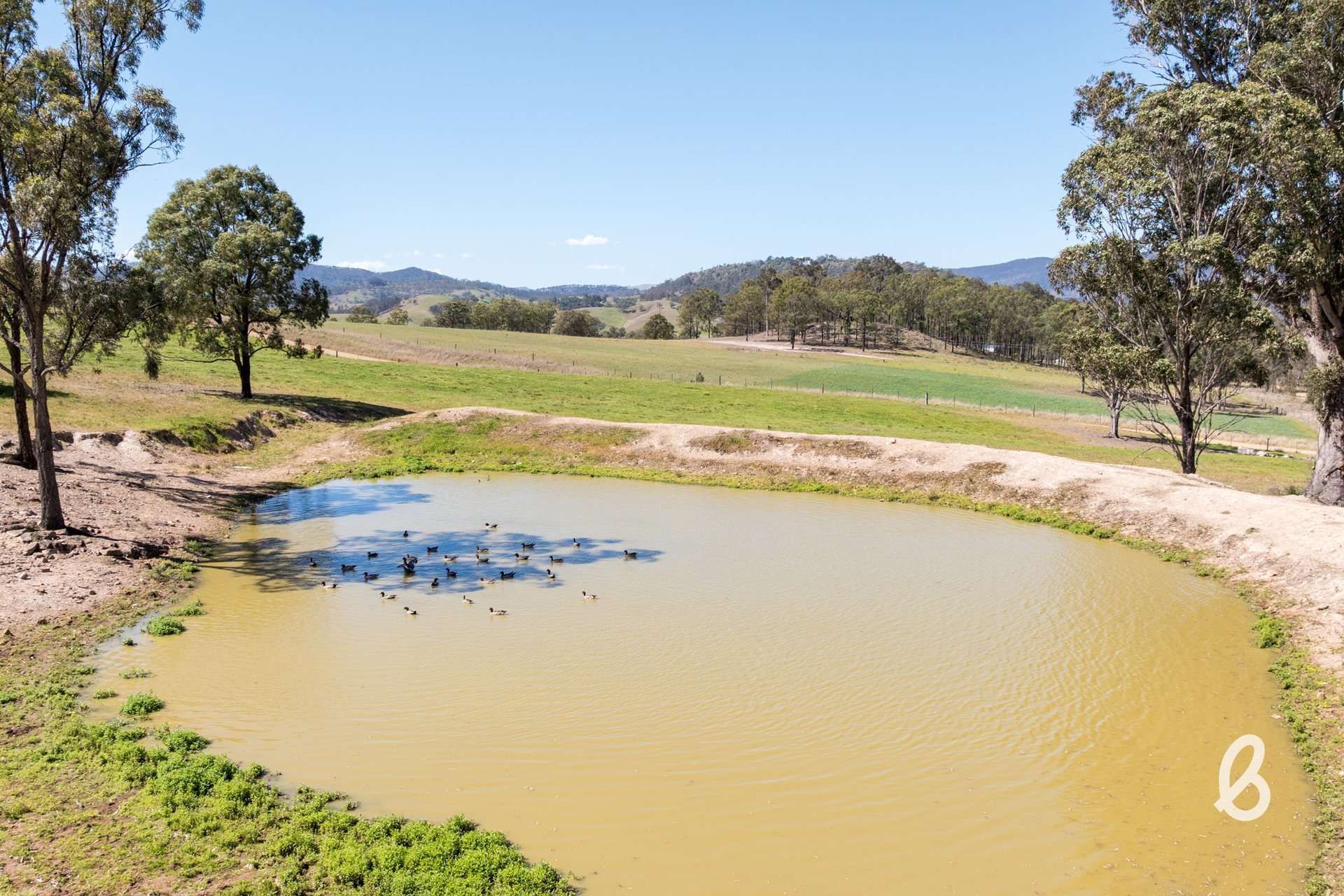 Lot 11, 153 Roselands Lane, Singleton Auction by Farmbuy.com - image 5