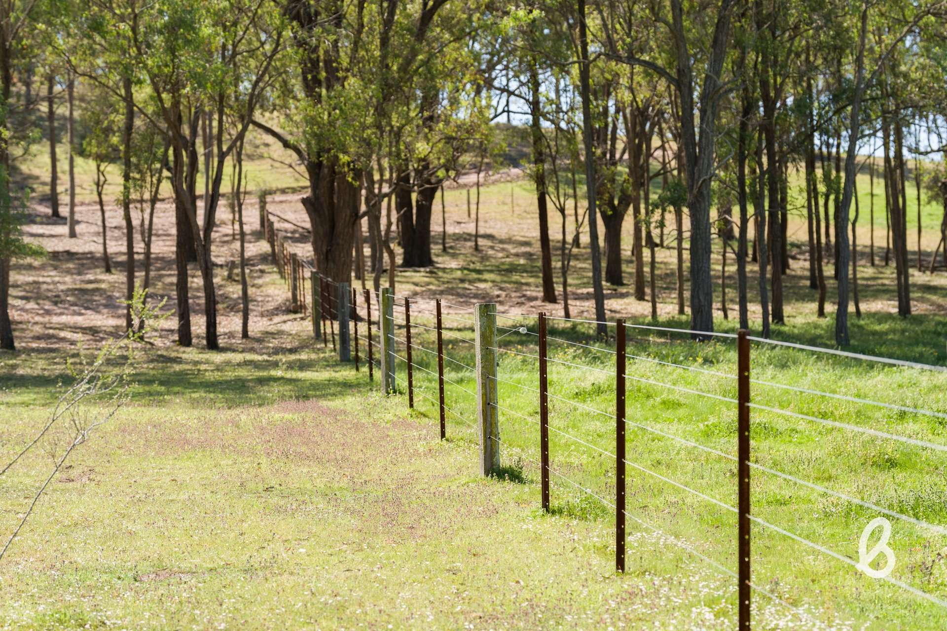 Lot 11, 153 Roselands Lane, Singleton Auction by Farmbuy.com - image 11