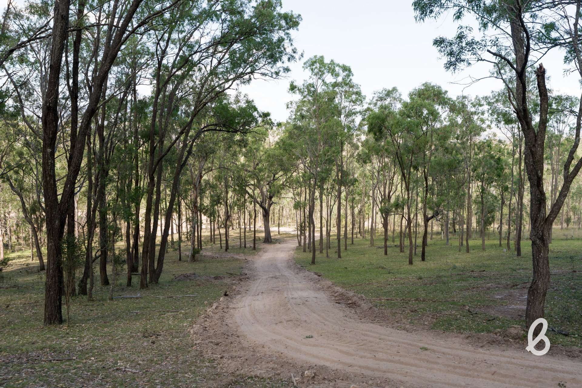 Lot 11, 153 Roselands Lane, Singleton Auction by Farmbuy.com - image 27
