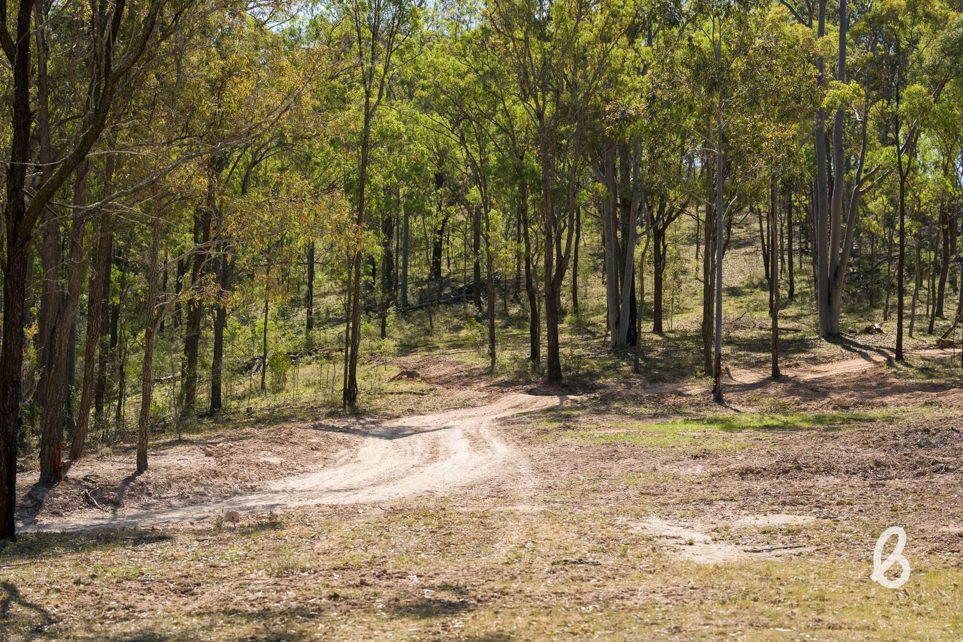 Lot 11, 153 Roselands Lane, Singleton Auction by Farmbuy.com - image 30