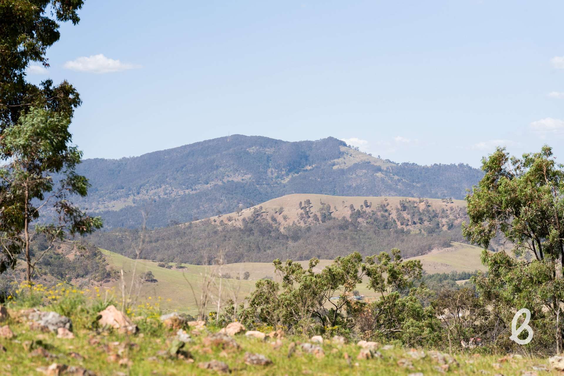 Lot 11, 153 Roselands Lane, Singleton Auction by Farmbuy.com - image 29