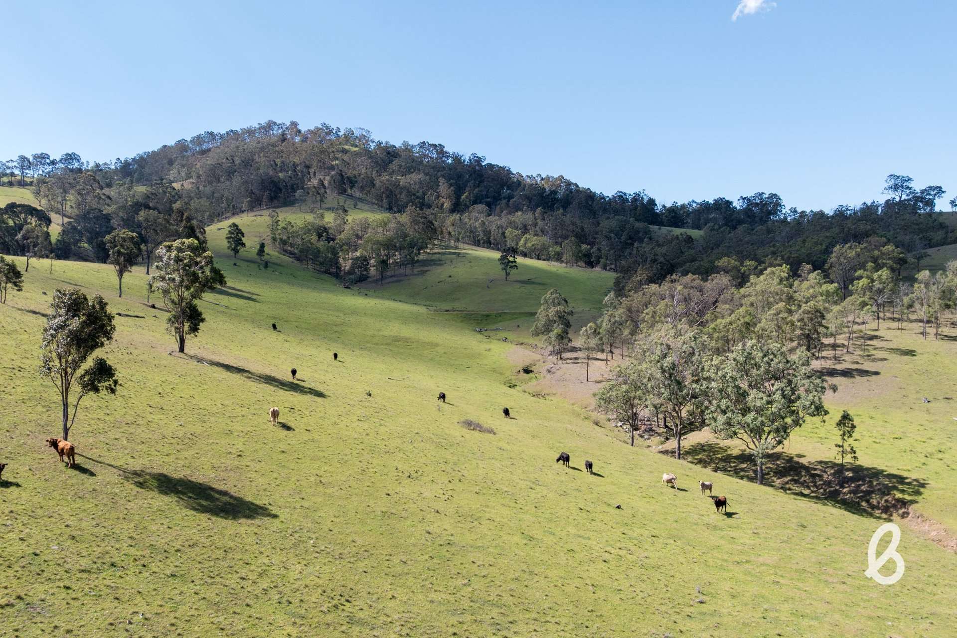 Lot 11, 153 Roselands Lane, Singleton Auction by Farmbuy.com - image 9