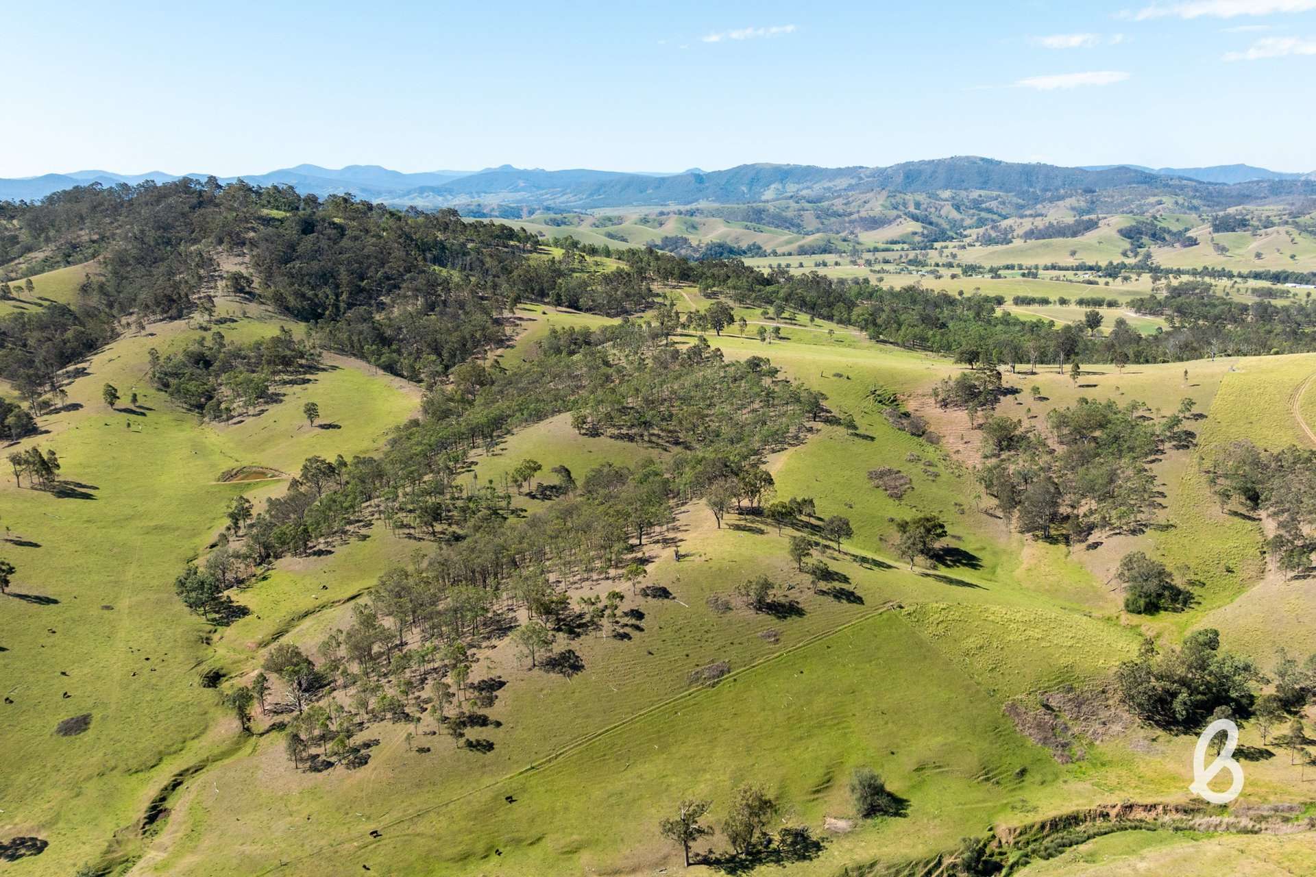 Lot 11, 153 Roselands Lane, Singleton Auction by Farmbuy.com - image 3