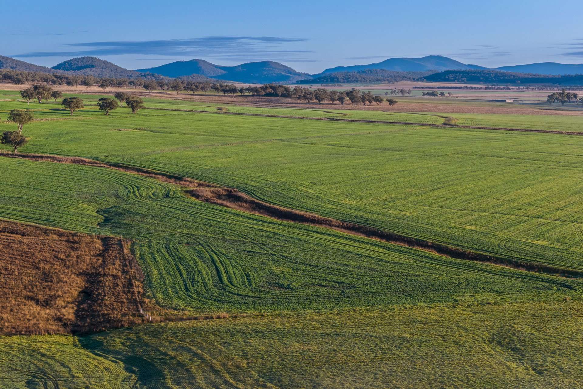 Werris Creek Station, 54 McCullochs Road, Werris Creek For Sale by Farmbuy.com - image 33