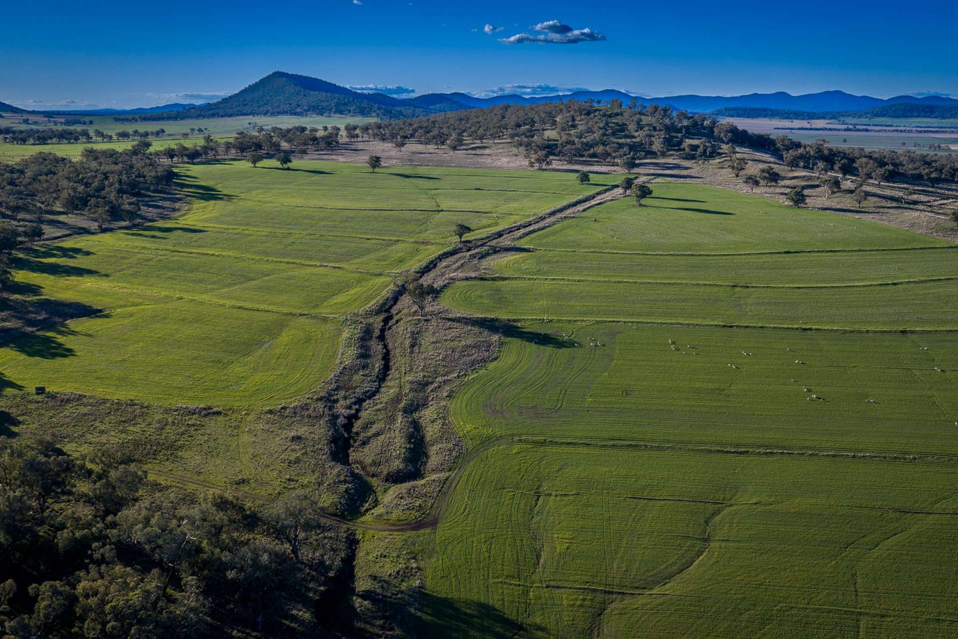 Werris Creek Station, 54 McCullochs Road, Werris Creek For Sale by Farmbuy.com - image 12
