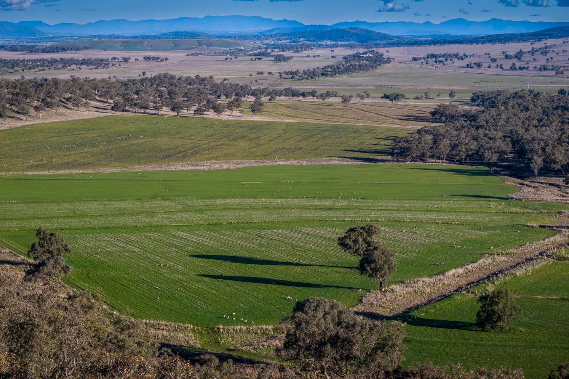 Werris Creek Station, 54 McCullochs Road, Werris Creek For Sale by Farmbuy.com - image 14