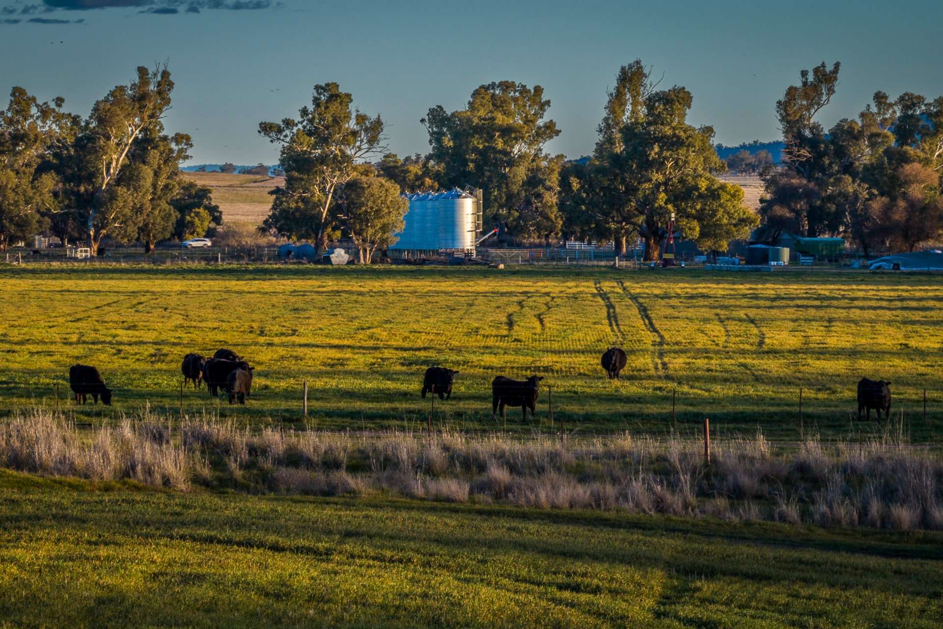 Werris Creek Station, 54 McCullochs Road, Werris Creek For Sale by Farmbuy.com - image 19