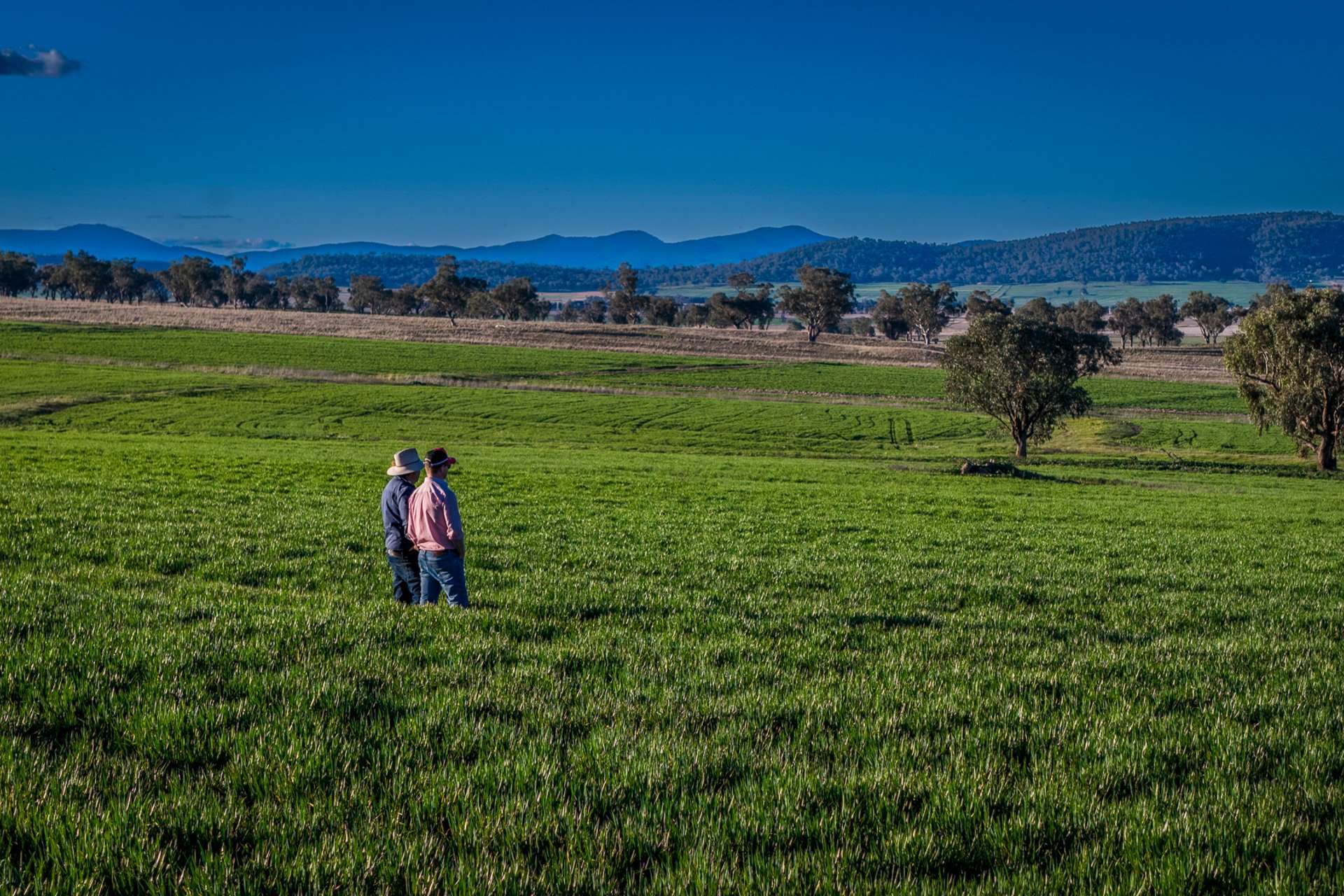 Werris Creek Station, 54 McCullochs Road, Werris Creek For Sale by Farmbuy.com - image 15