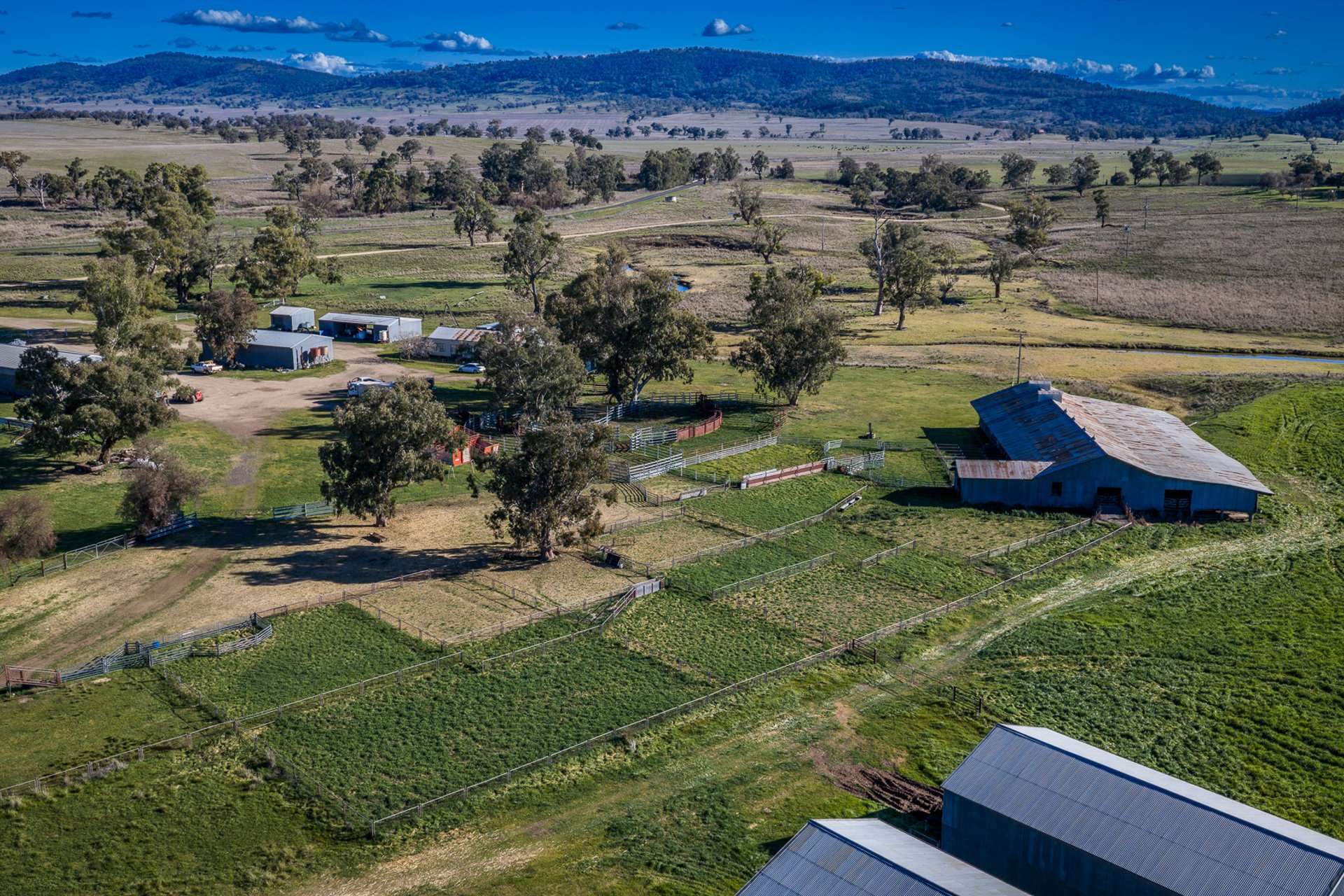 Werris Creek Station, 54 McCullochs Road, Werris Creek For Sale by Farmbuy.com - image 6
