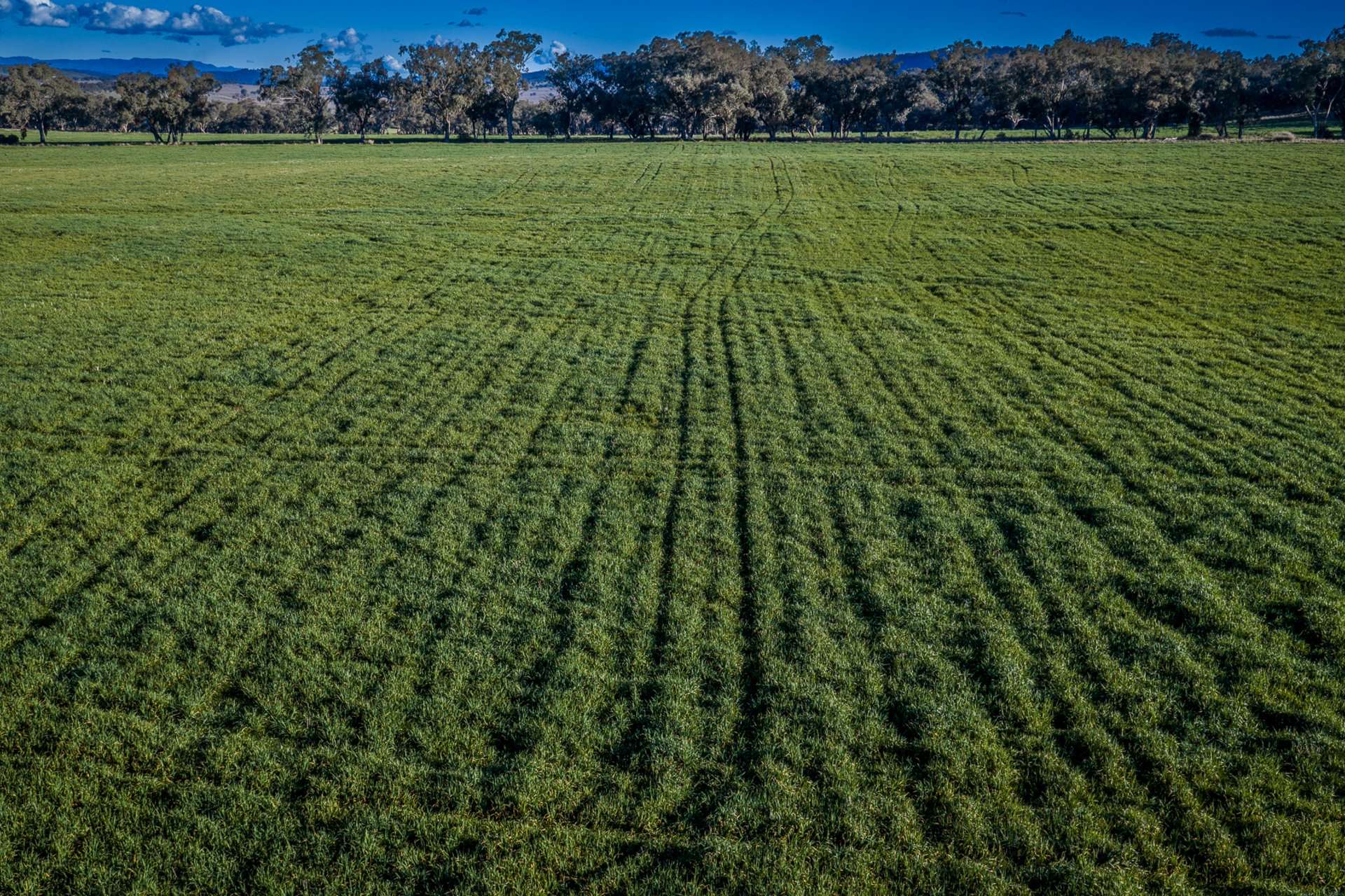 Werris Creek Station, 54 McCullochs Road, Werris Creek For Sale by Farmbuy.com - image 8