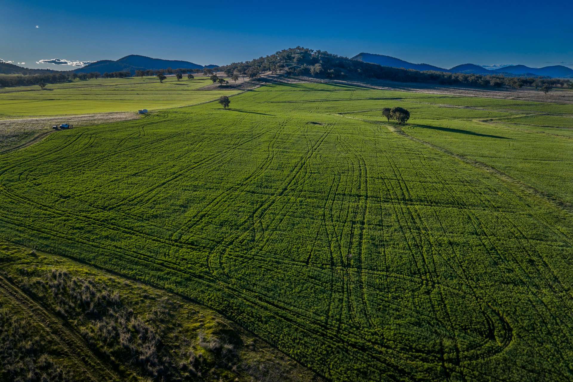 Werris Creek Station, 54 McCullochs Road, Werris Creek For Sale by Farmbuy.com - image 17