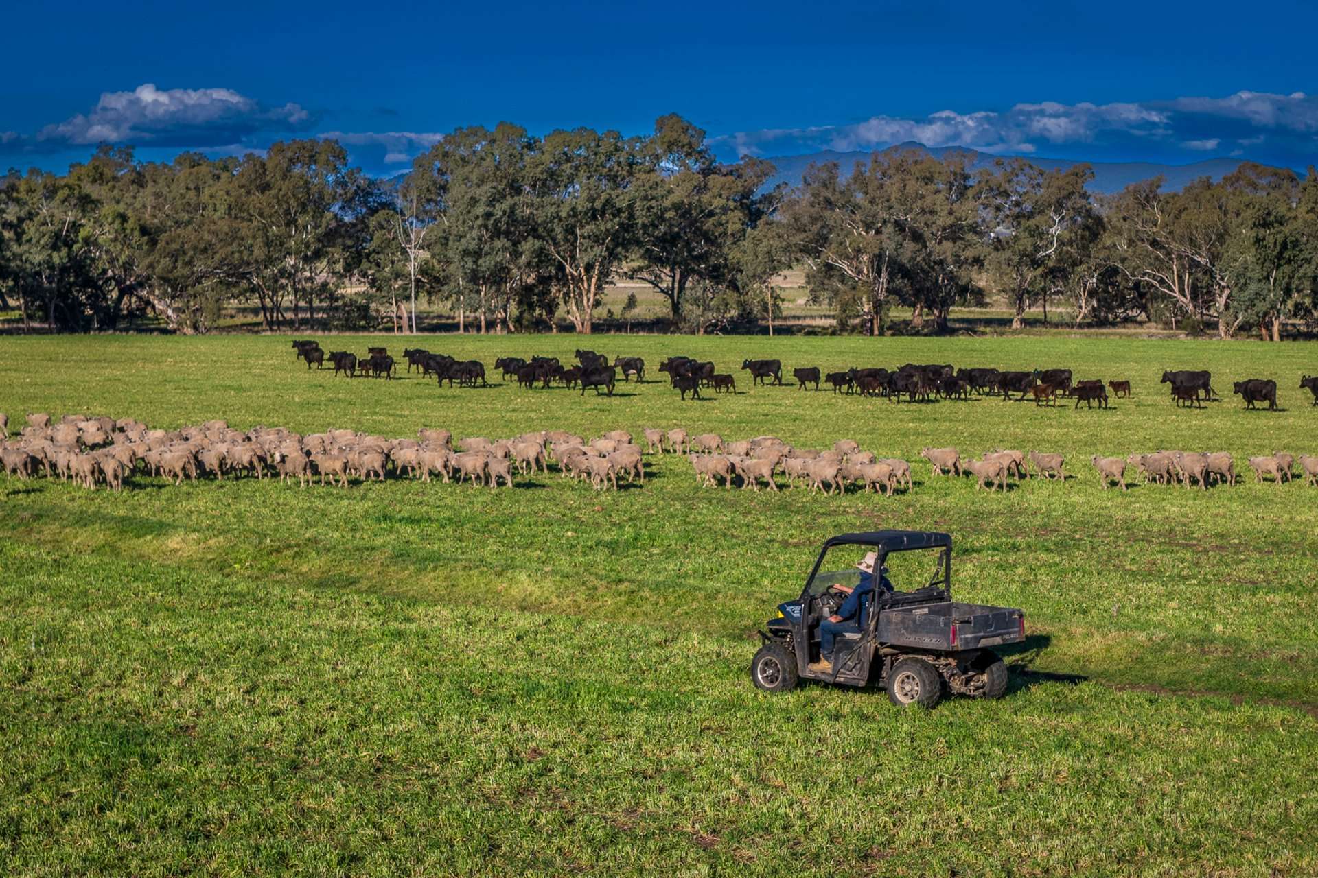 Werris Creek Station, 54 McCullochs Road, Werris Creek For Sale by Farmbuy.com - image 9