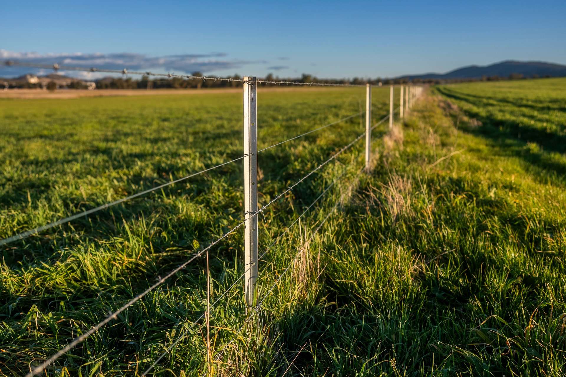 Werris Creek Station, 54 McCullochs Road, Werris Creek For Sale by Farmbuy.com - image 28