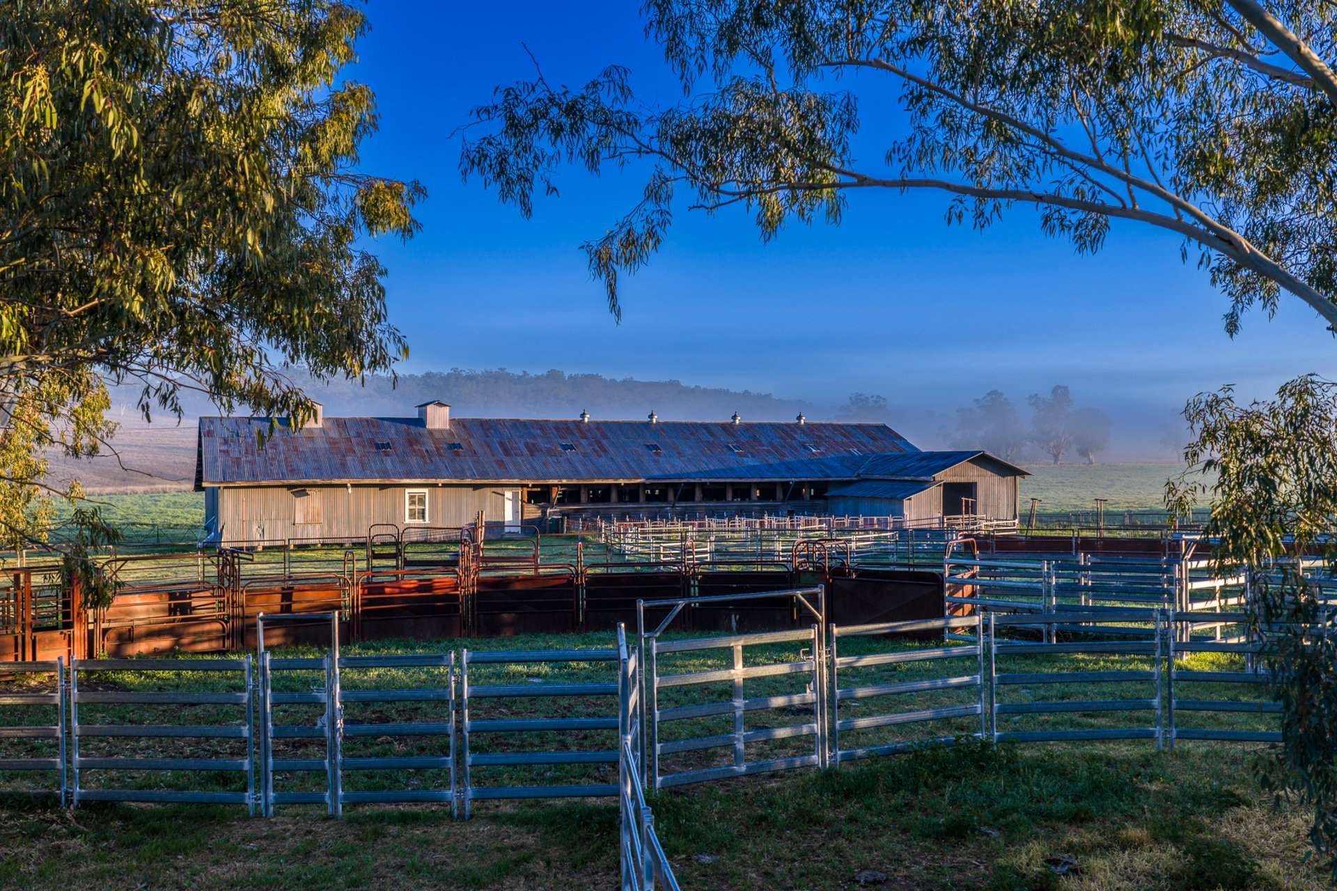 Werris Creek Station, 54 McCullochs Road, Werris Creek For Sale by Farmbuy.com - image 29
