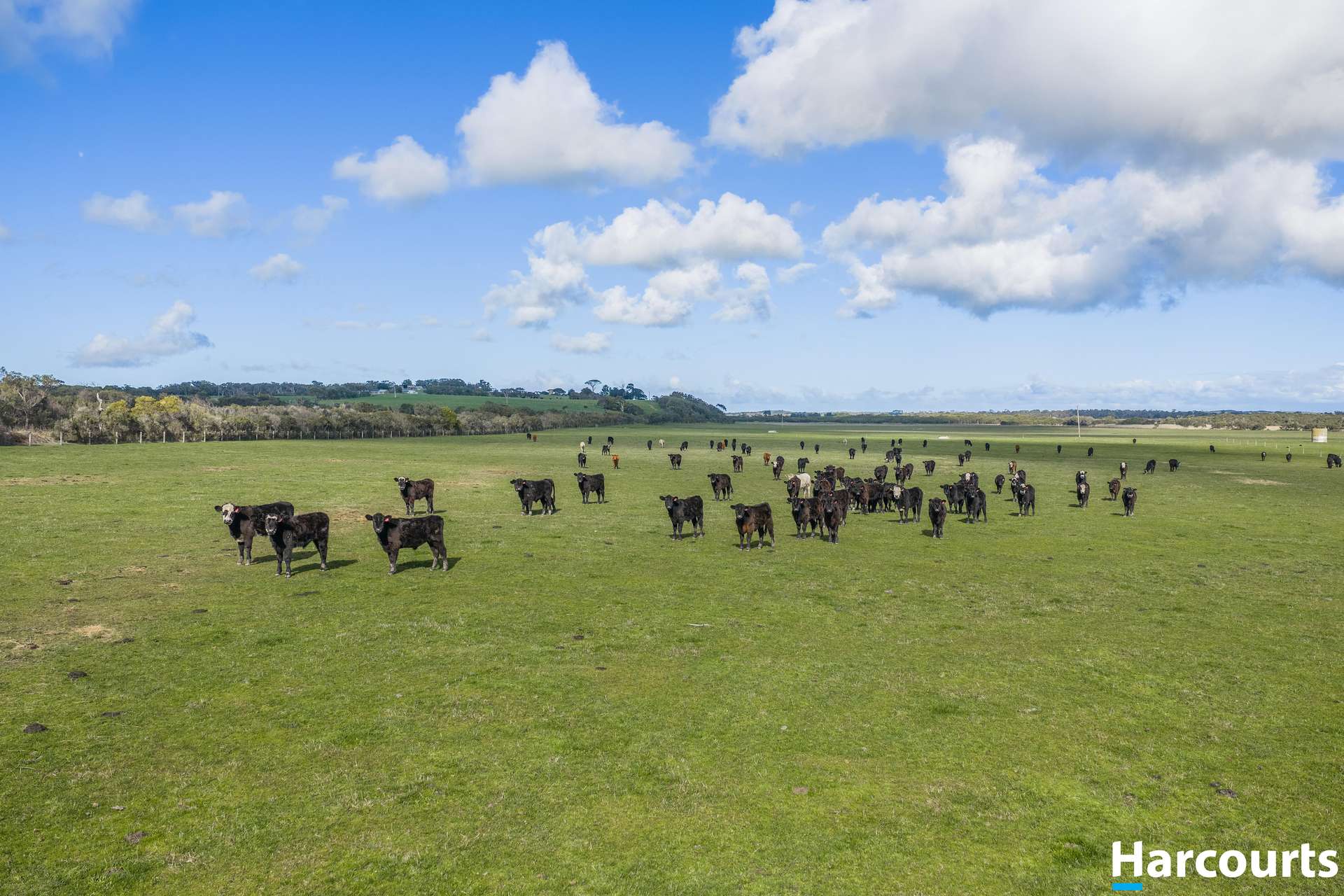 120 Stewart And Dunlop's Road, Middle Tarwin For Sale by Farmbuy.com - image 7