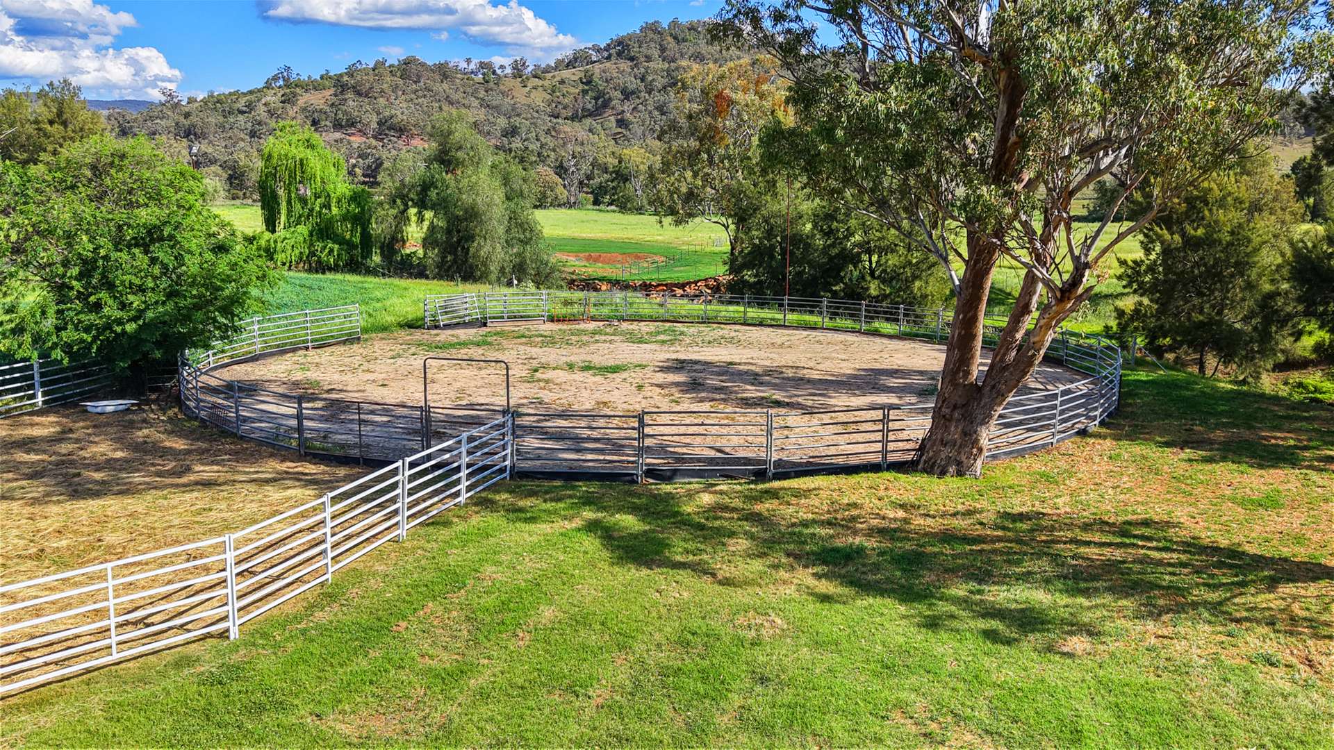 352 Ogunbil Road, Dungowan Auction by Farmbuy.com - image 13