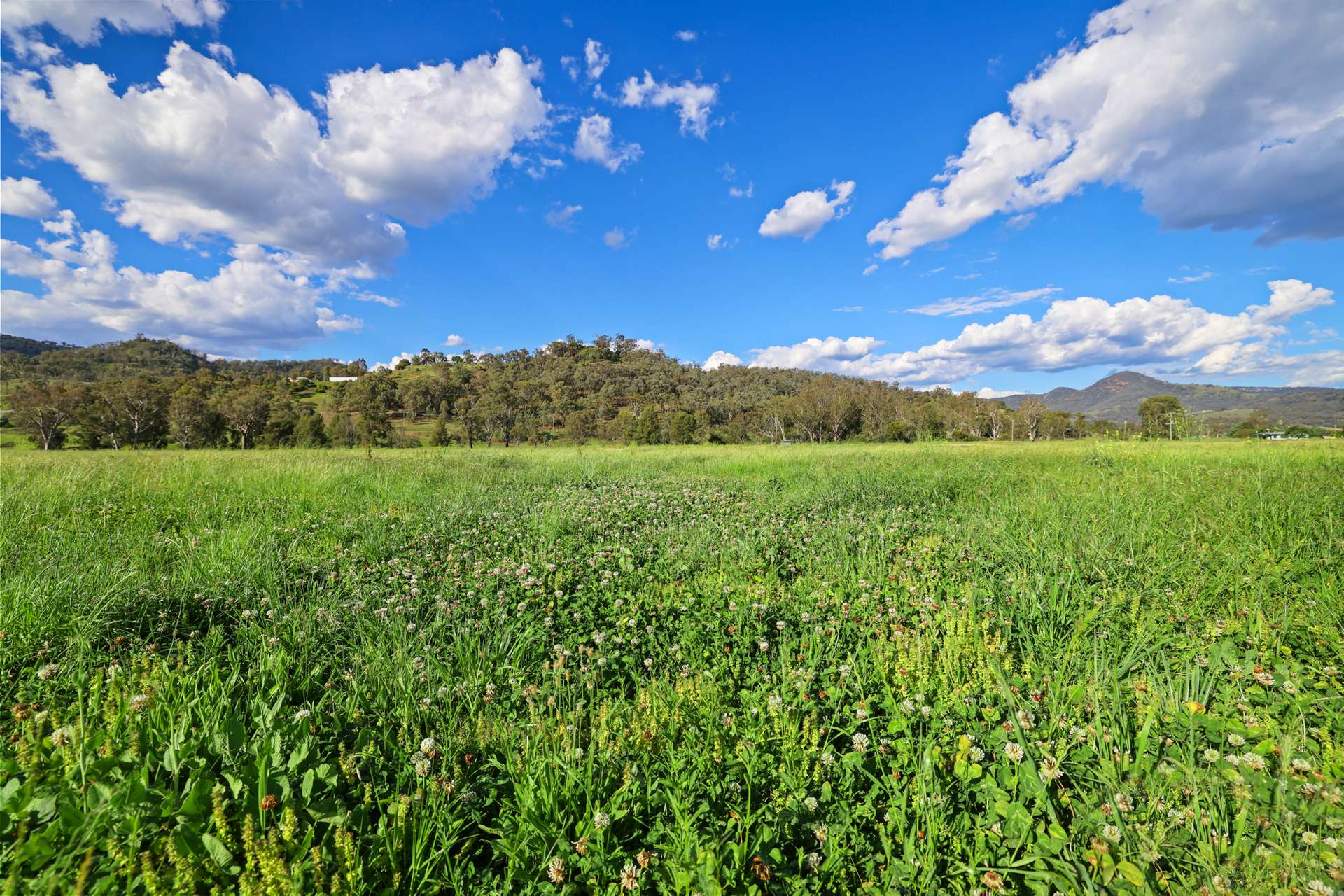 352 Ogunbil Road, Dungowan Auction by Farmbuy.com - image 15