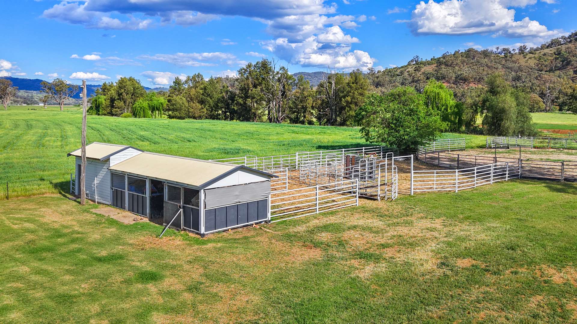352 Ogunbil Road, Dungowan Auction by Farmbuy.com - image 12