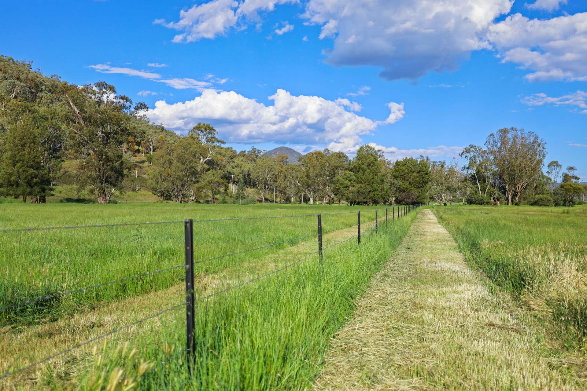 352 Ogunbil Road, Dungowan Auction by Farmbuy.com - image 16