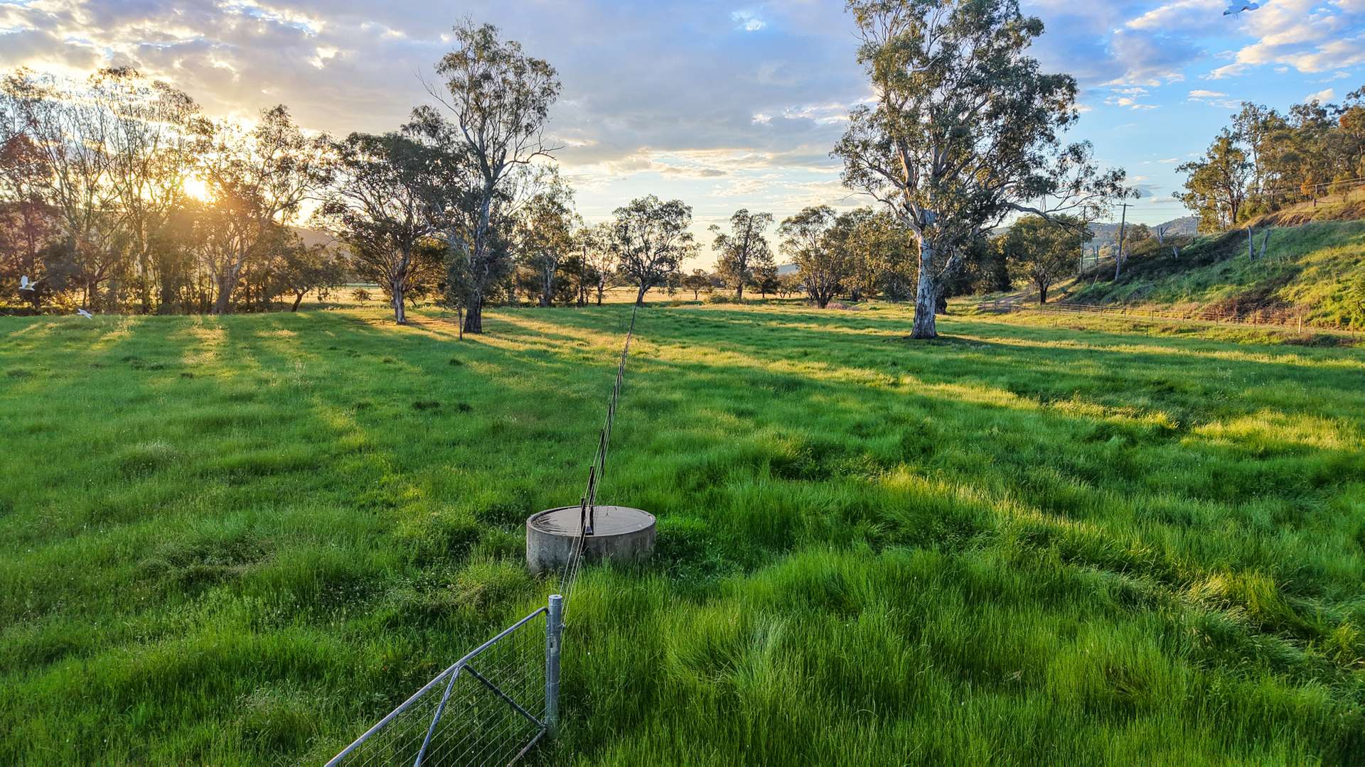 352 Ogunbil Road, Dungowan Auction by Farmbuy.com - image 19