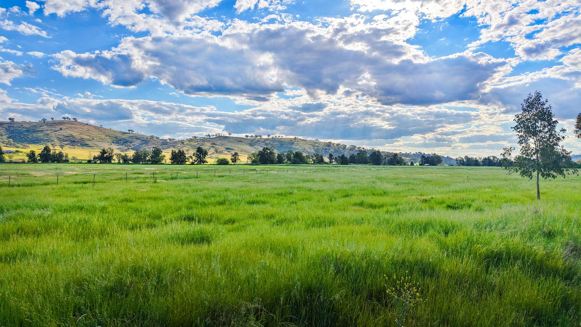 352 Ogunbil Road, Dungowan Auction by Farmbuy.com - image 17