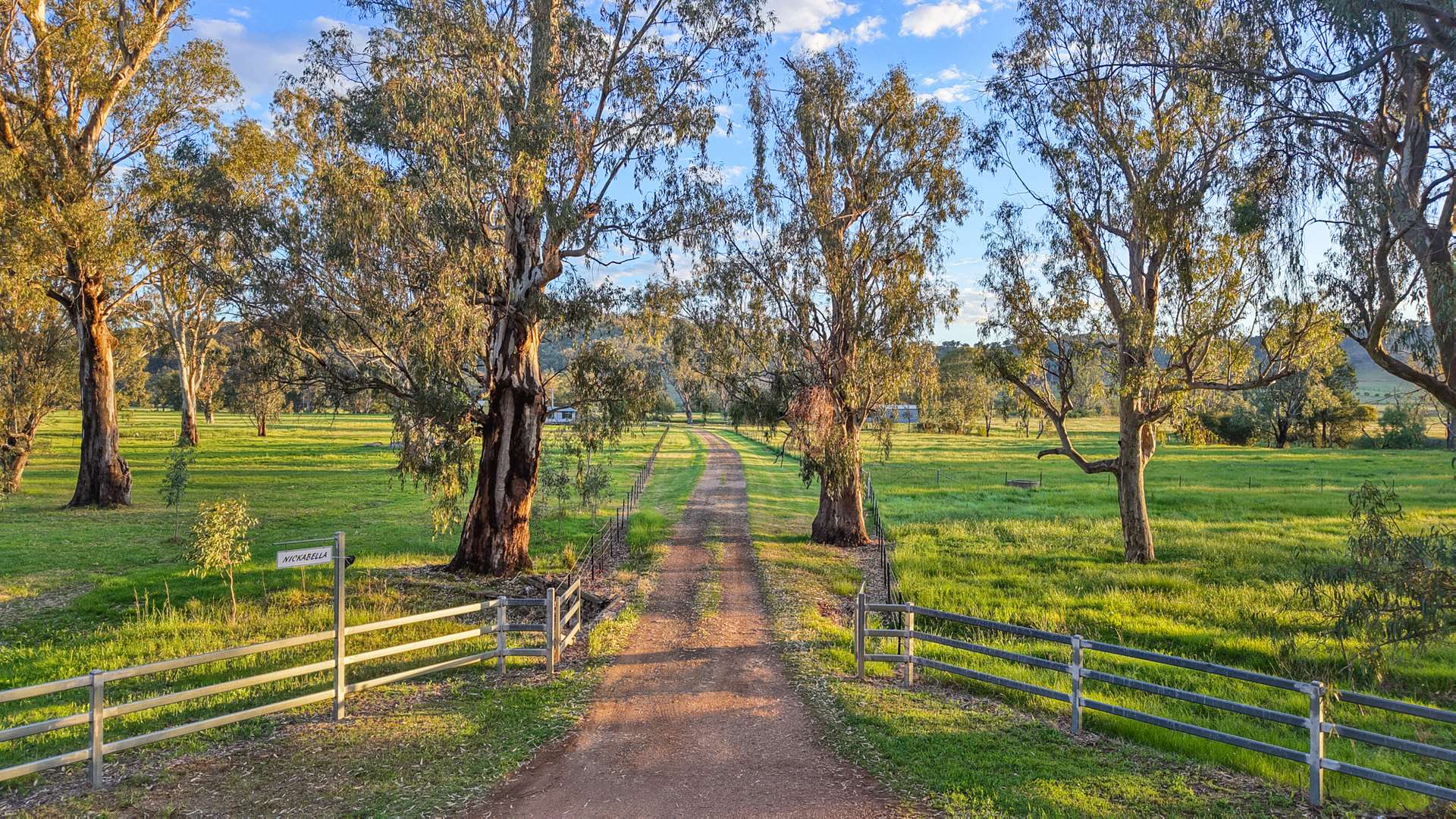 352 Ogunbil Road, Dungowan Auction by Farmbuy.com - image 14
