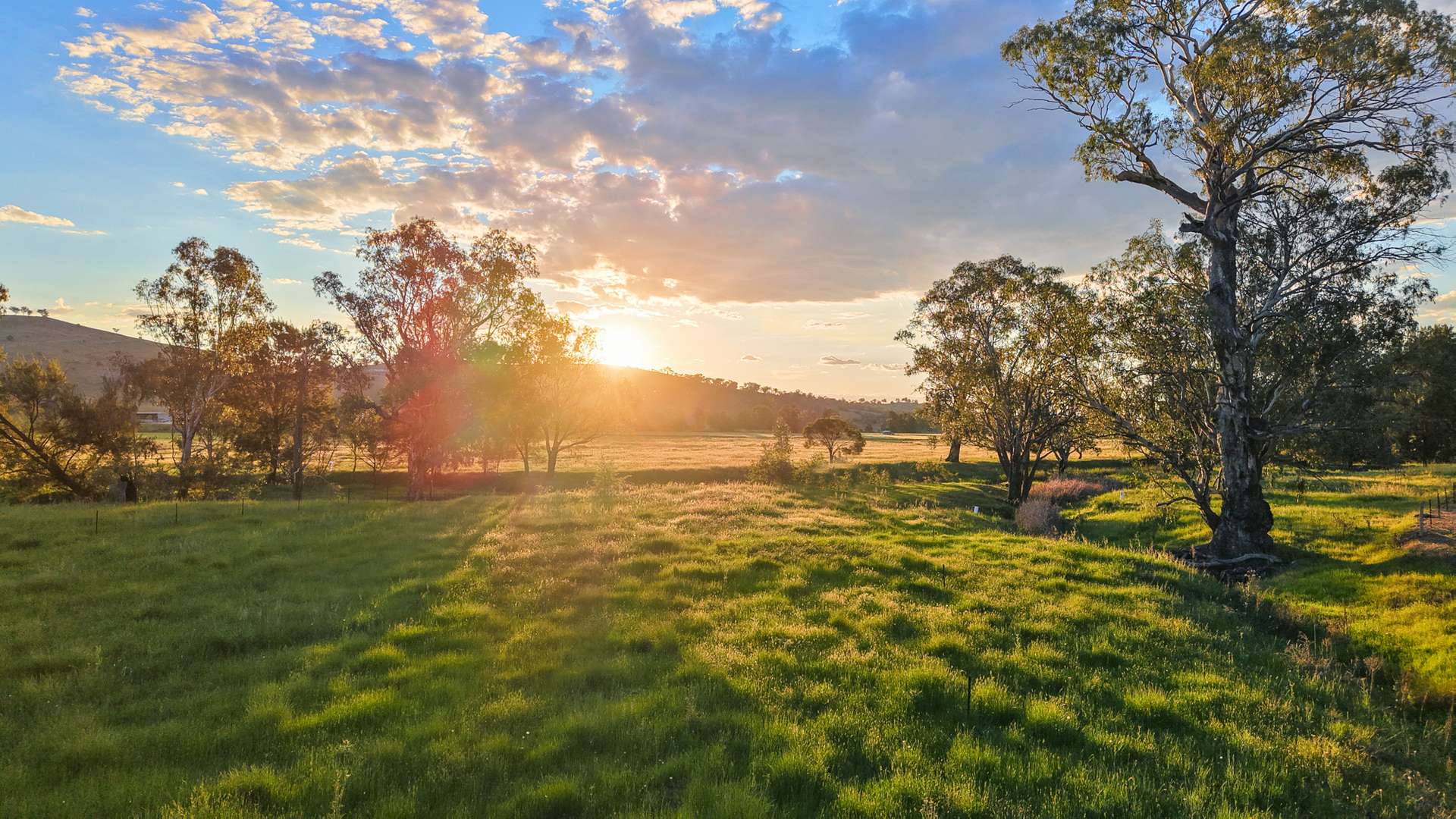 352 Ogunbil Road, Dungowan Auction by Farmbuy.com - image 20