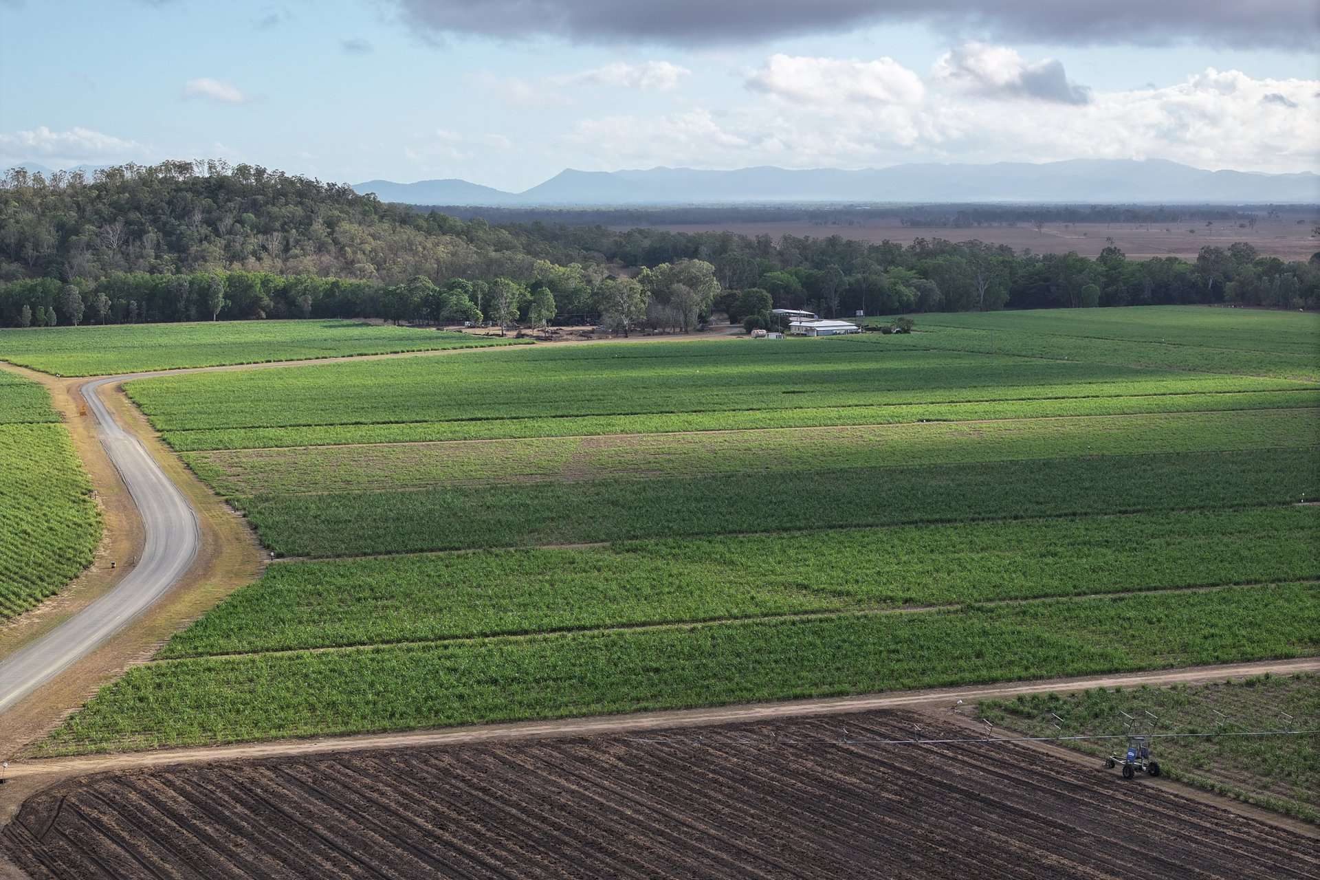 1379-1383 Gunyarra Road, Andromache For Sale by Farmbuy.com - image 9
