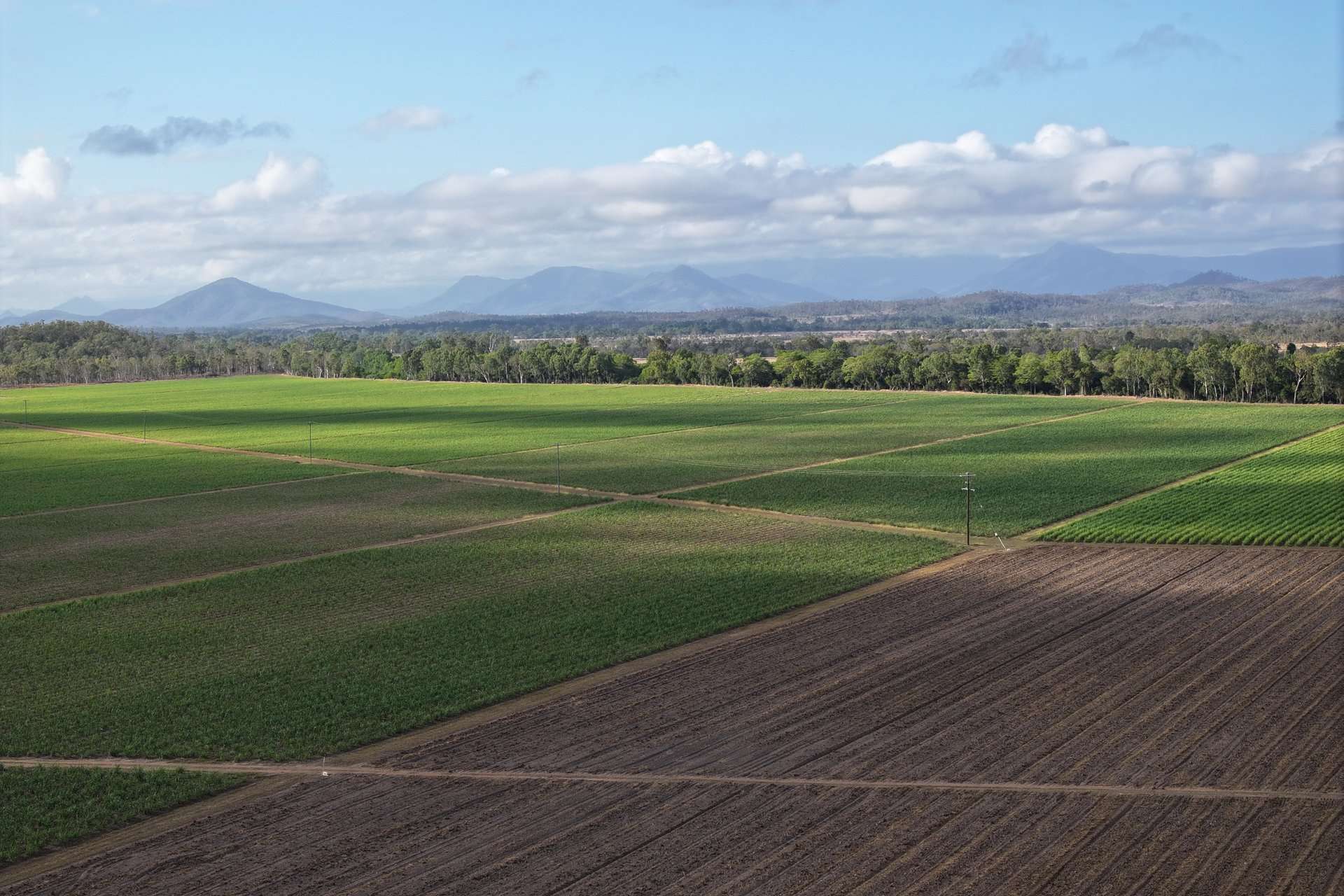 1379-1383 Gunyarra Road, Andromache For Sale by Farmbuy.com - image 12