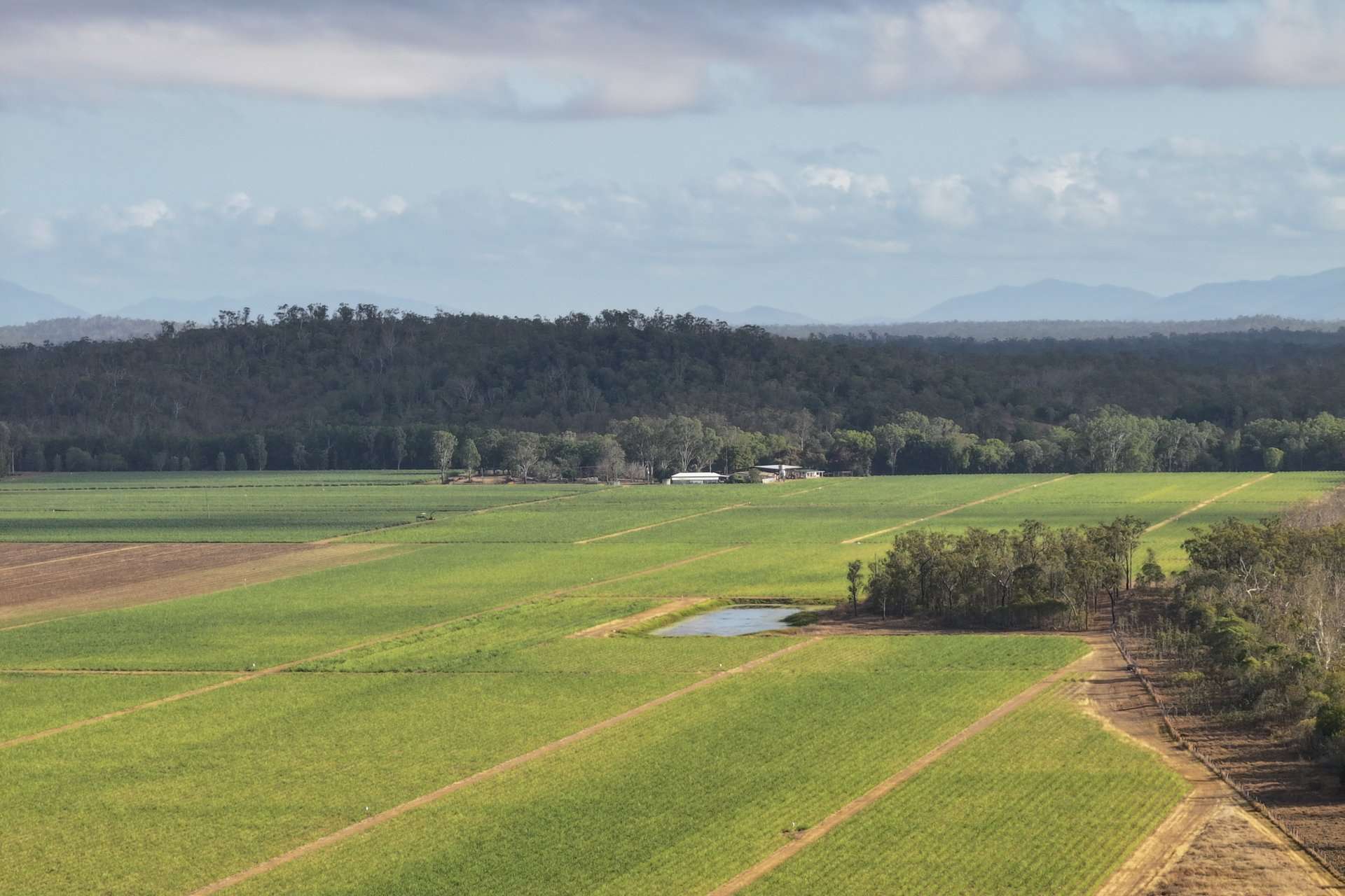 1379-1383 Gunyarra Road, Andromache For Sale by Farmbuy.com - image 2