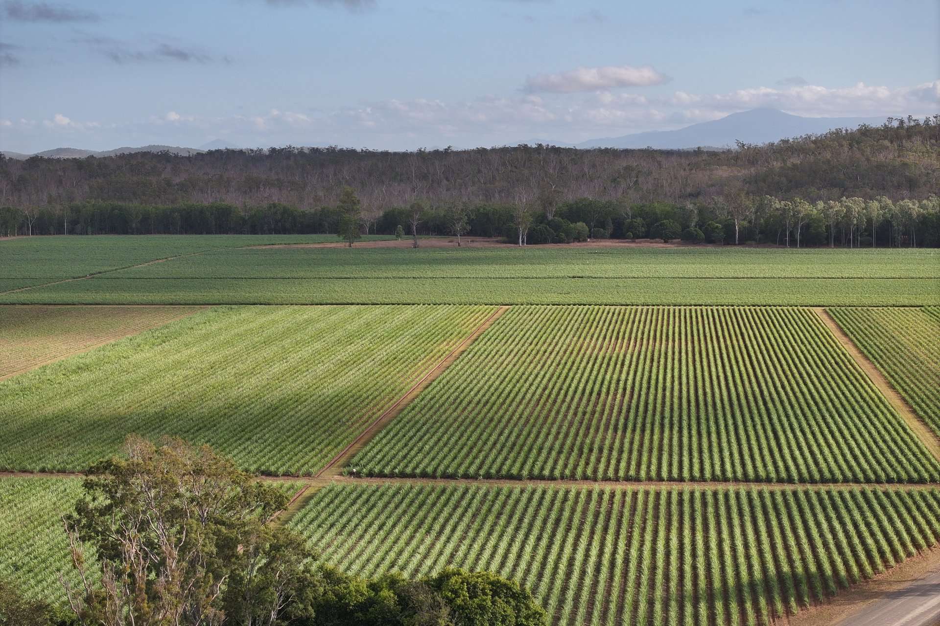 1379-1383 Gunyarra Road, Andromache For Sale by Farmbuy.com - image 8
