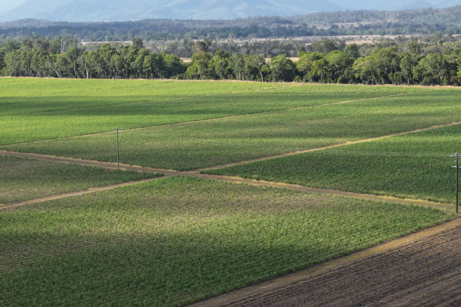 1379-1383 Gunyarra Road, Andromache For Sale by Farmbuy.com - image 13