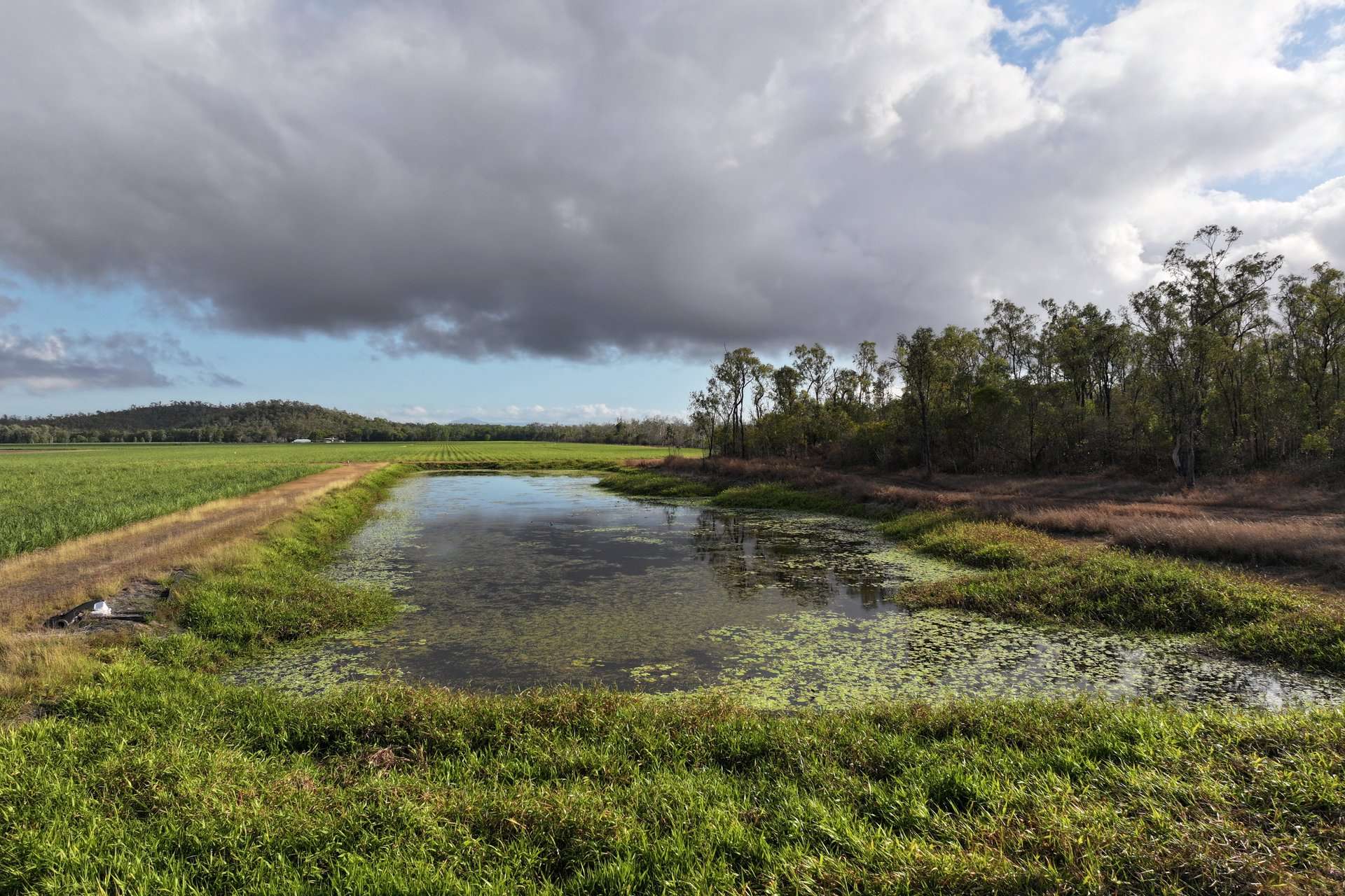 1379-1383 Gunyarra Road, Andromache For Sale by Farmbuy.com - image 11
