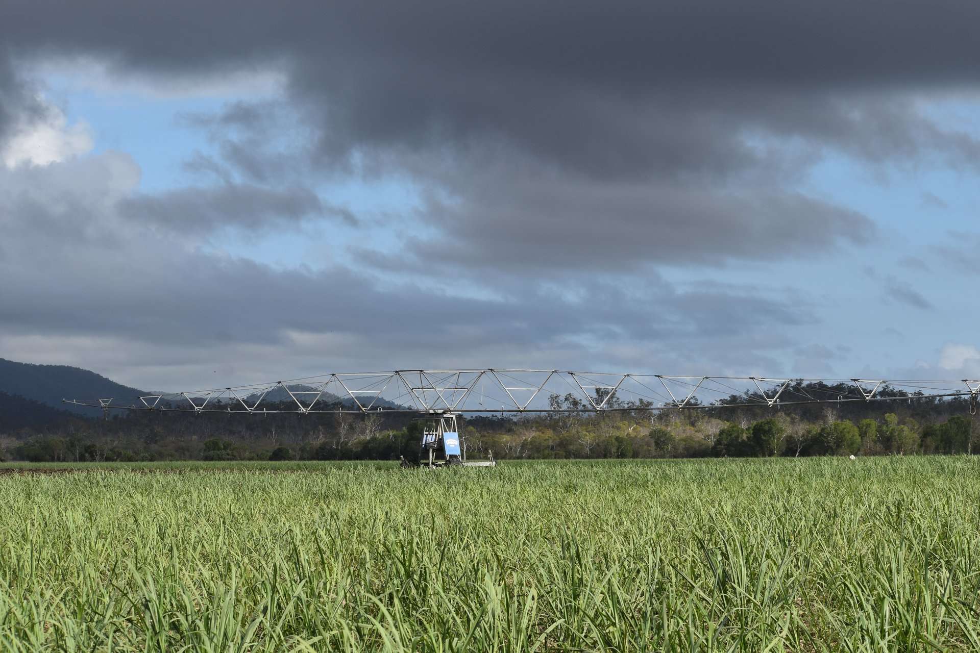 1379-1383 Gunyarra Road, Andromache For Sale by Farmbuy.com - image 14