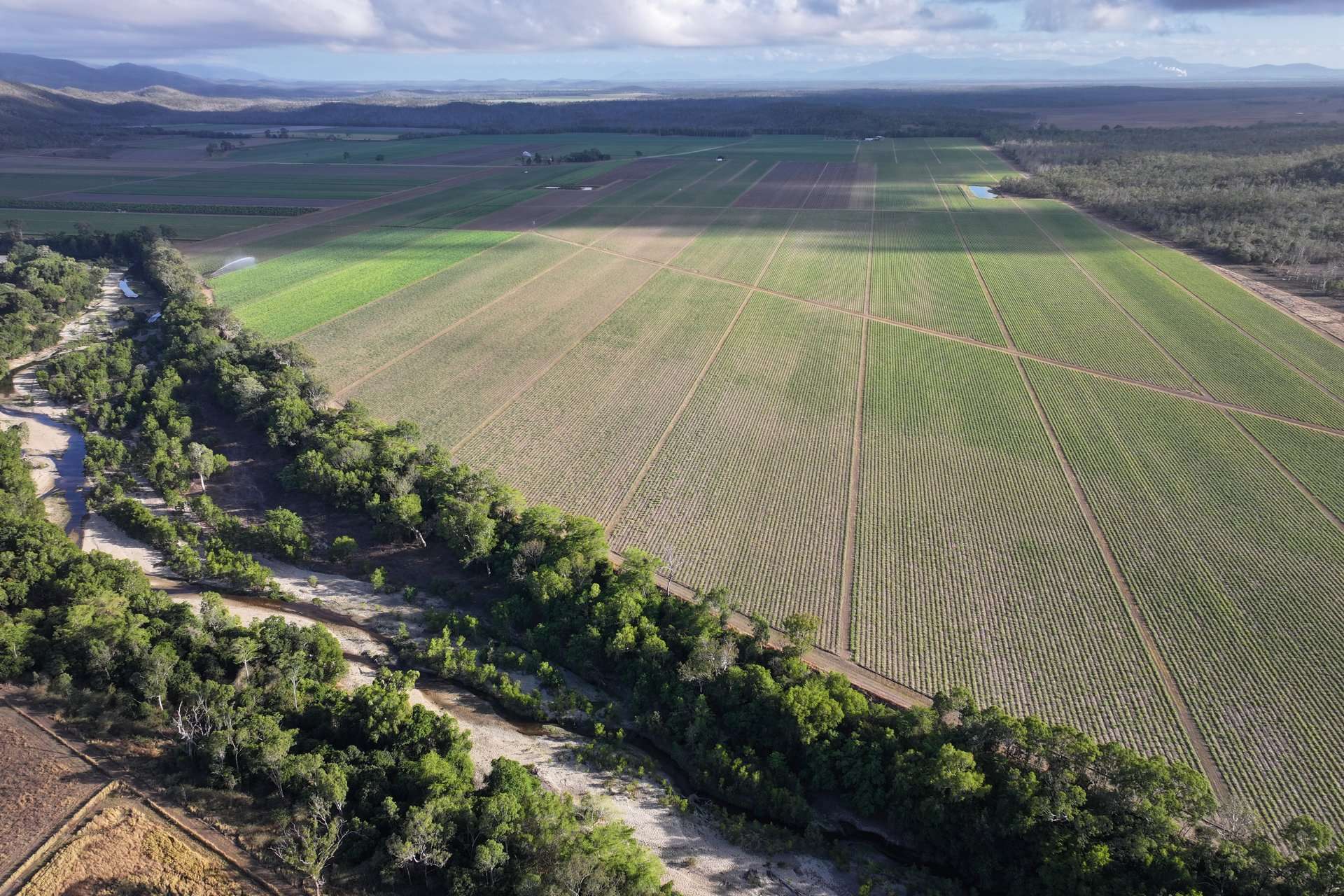 1379-1383 Gunyarra Road, Andromache For Sale by Farmbuy.com - image 3