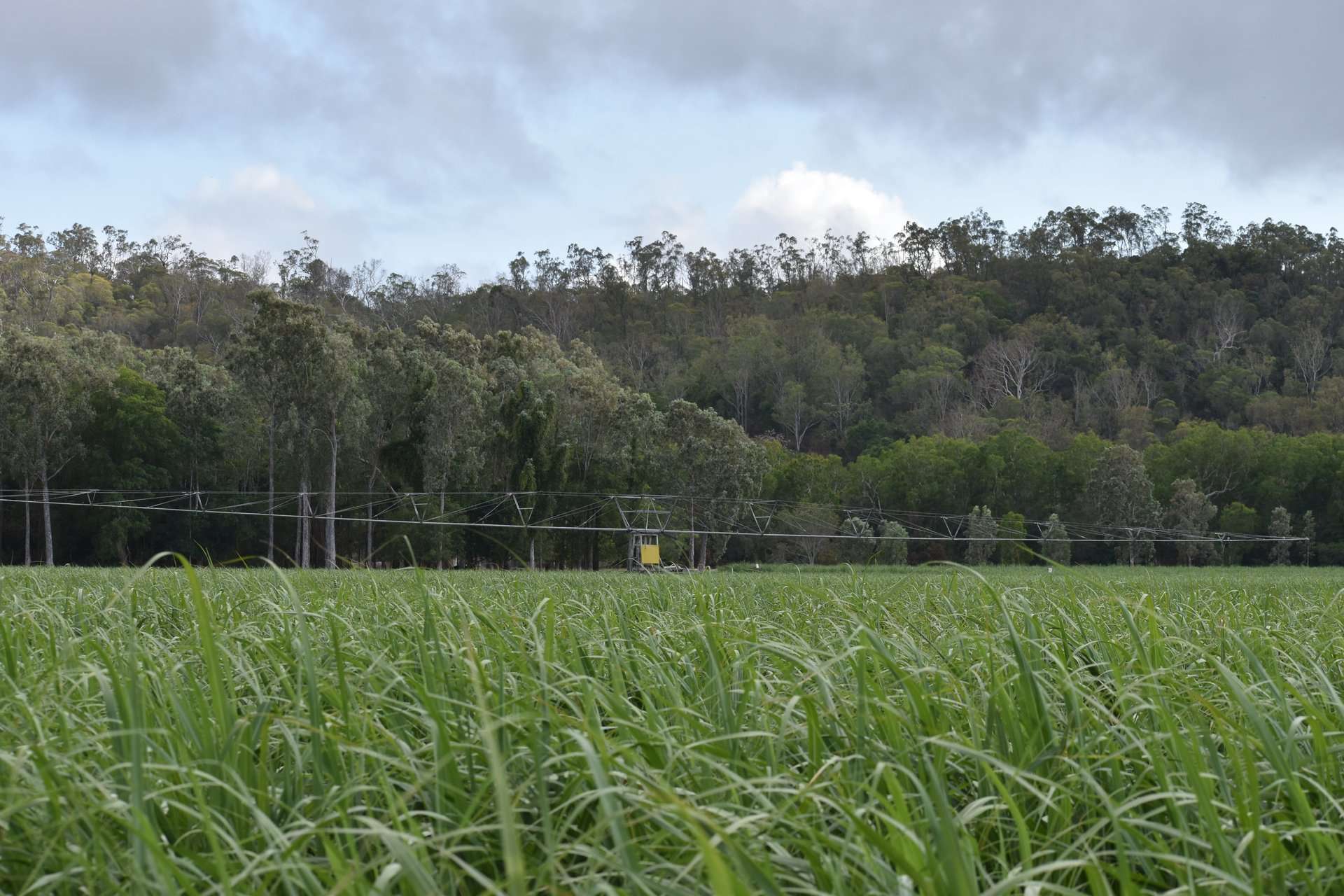1379-1383 Gunyarra Road, Andromache For Sale by Farmbuy.com - image 15