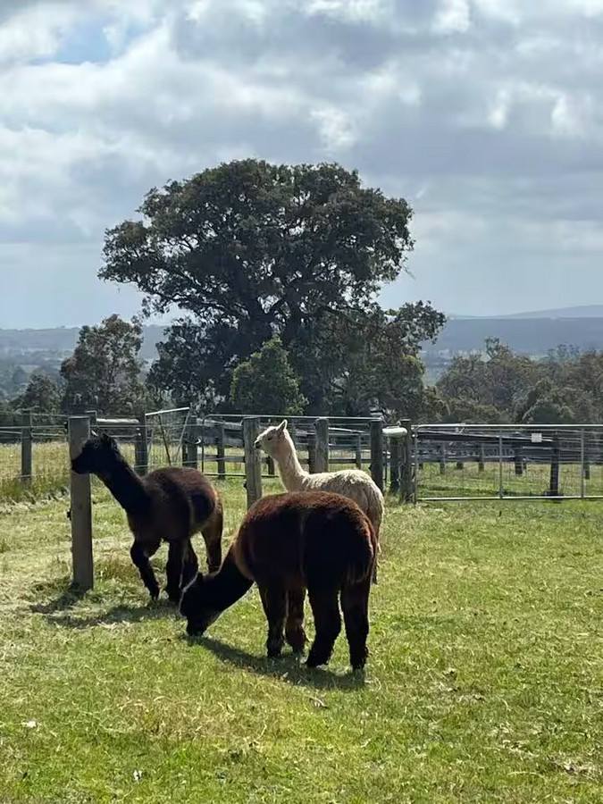 1177 Heyfield-Seaton Road, Seaton For Sale by Farmbuy.com - image 15