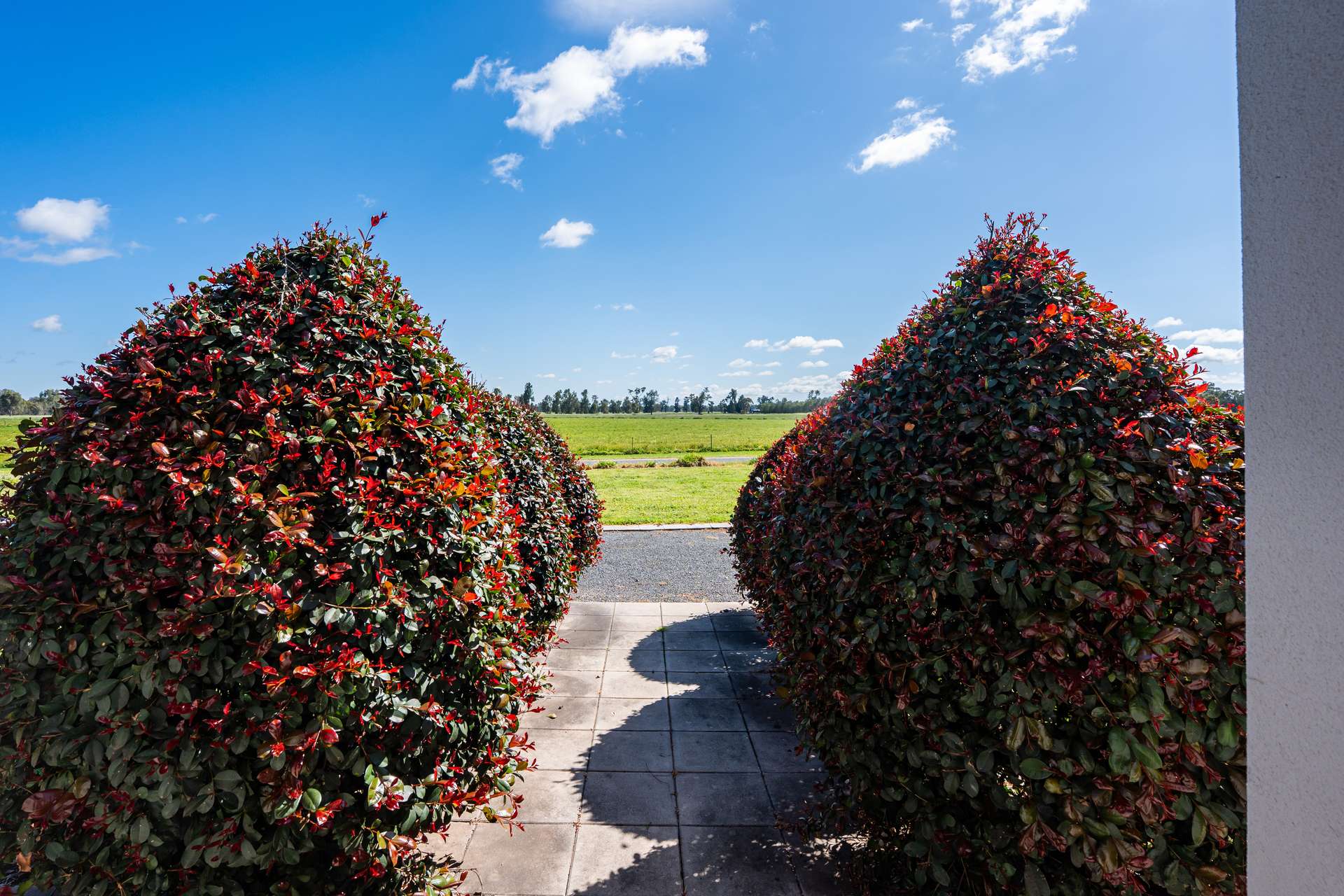 262 Henty Walla Road, Henty For Sale by Farmbuy.com - image 4