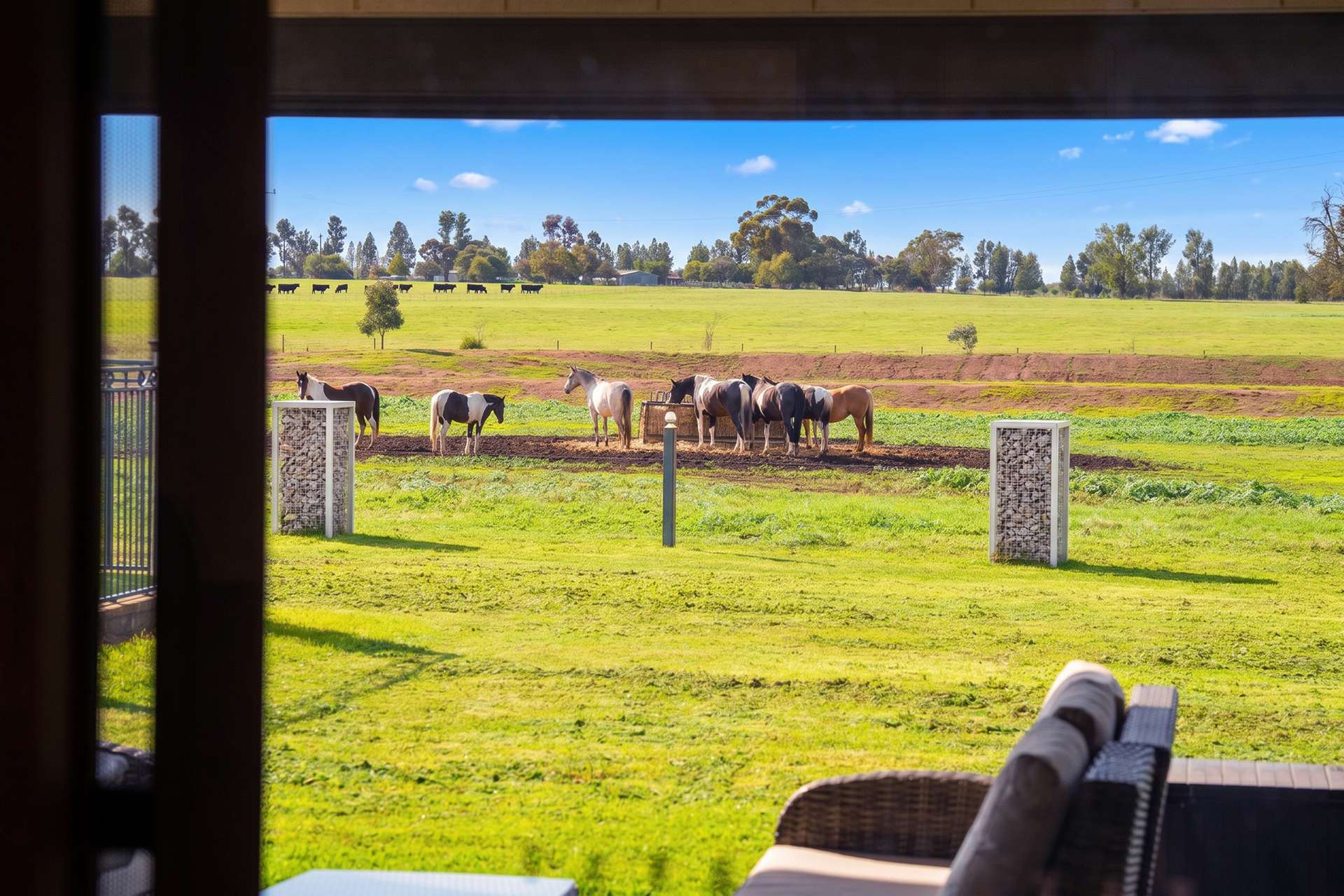 262 Henty Walla Road, Henty For Sale by Farmbuy.com - image 12
