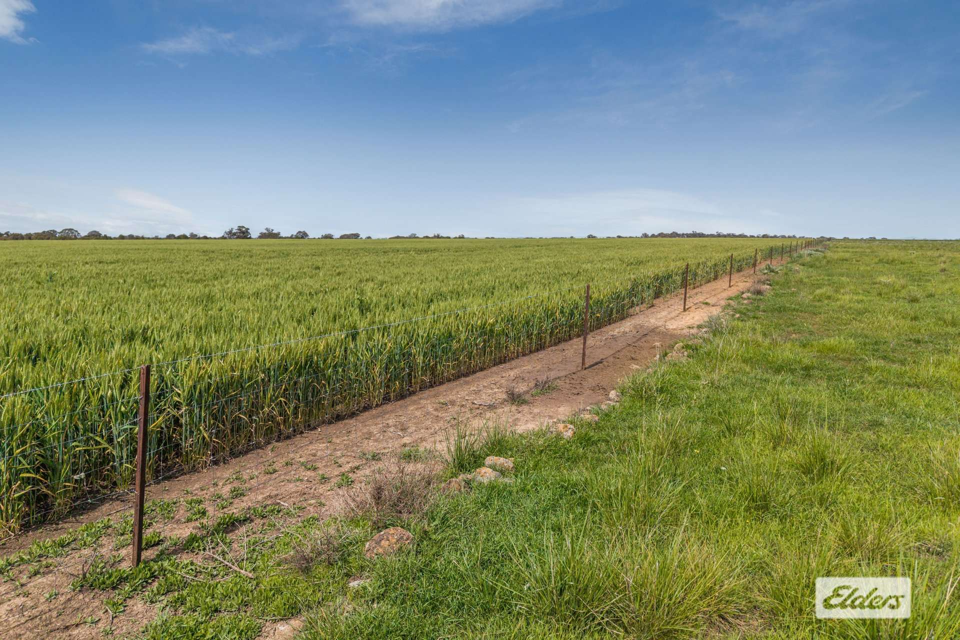 Baringhup Road, Baringhup For Sale by Farmbuy.com - image 1