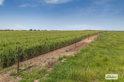 Baringhup Road, Baringhup VIC 3463