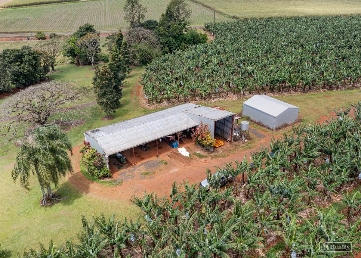 Eubenangee For Sale by Farmbuy.com - image 3