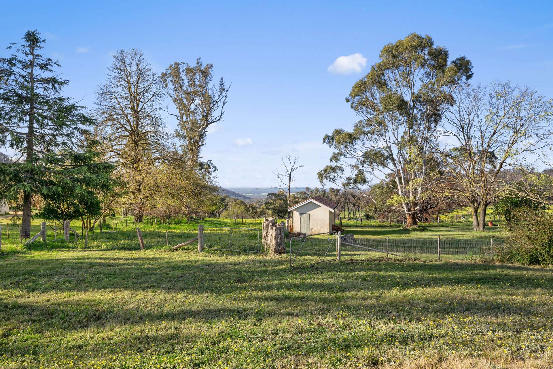 1 Longwood-Ruffy Road, Ruffy For Sale by Farmbuy.com - image 7