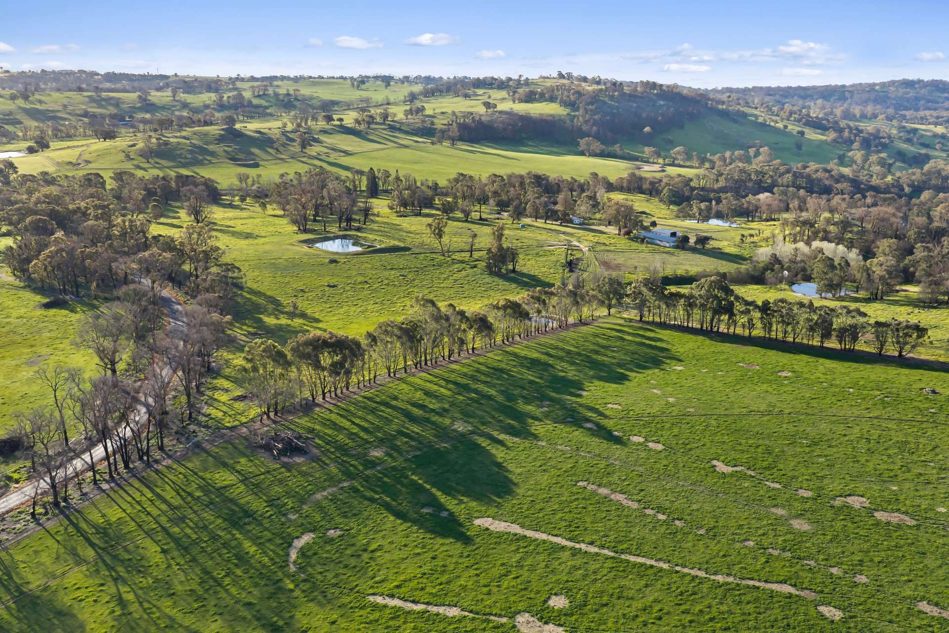 1 Longwood-Ruffy Road, Ruffy For Sale by Farmbuy.com - image 11