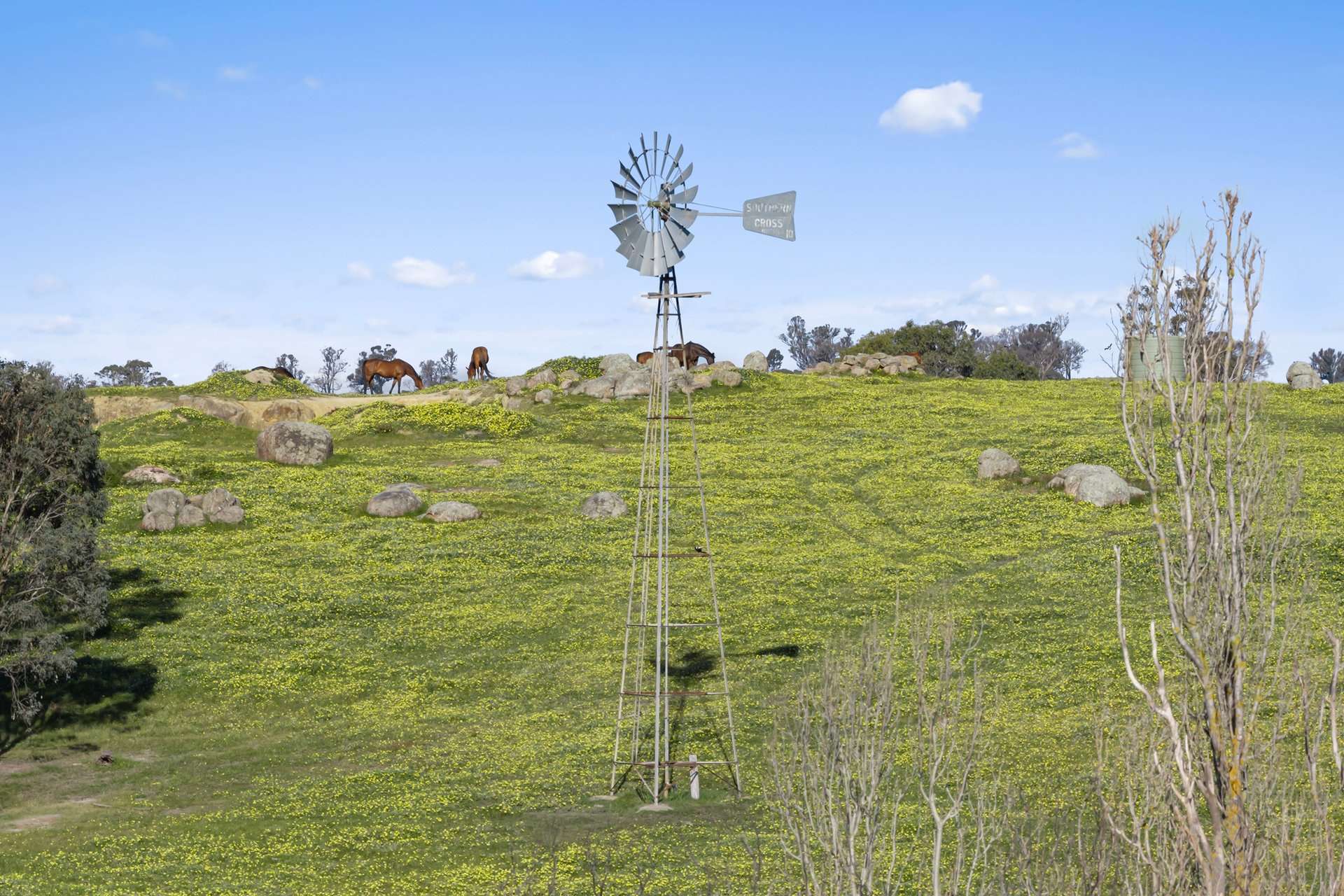 1 Longwood-Ruffy Road, Ruffy For Sale by Farmbuy.com - image 12