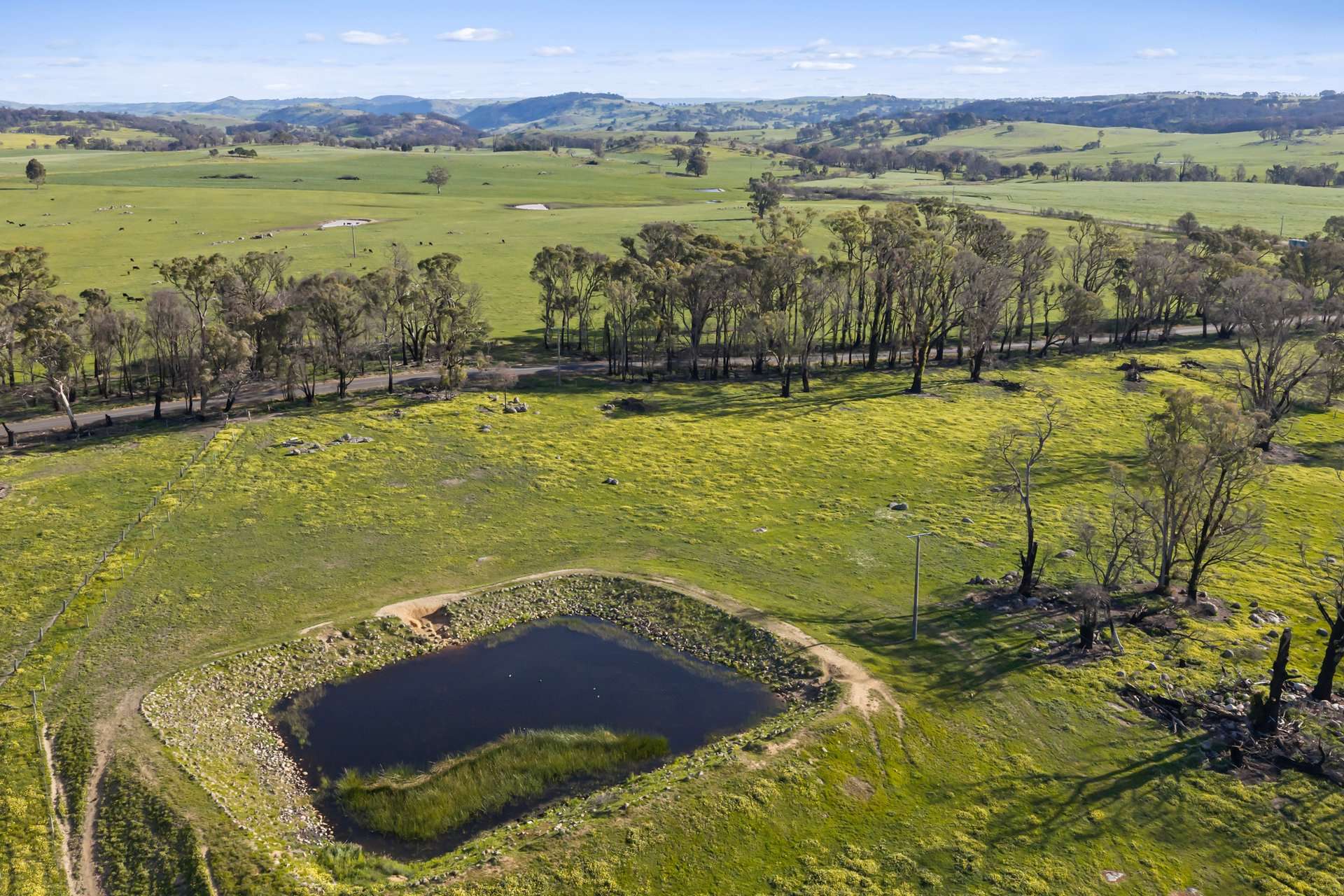 1 Longwood-Ruffy Road, Ruffy For Sale by Farmbuy.com - image 10