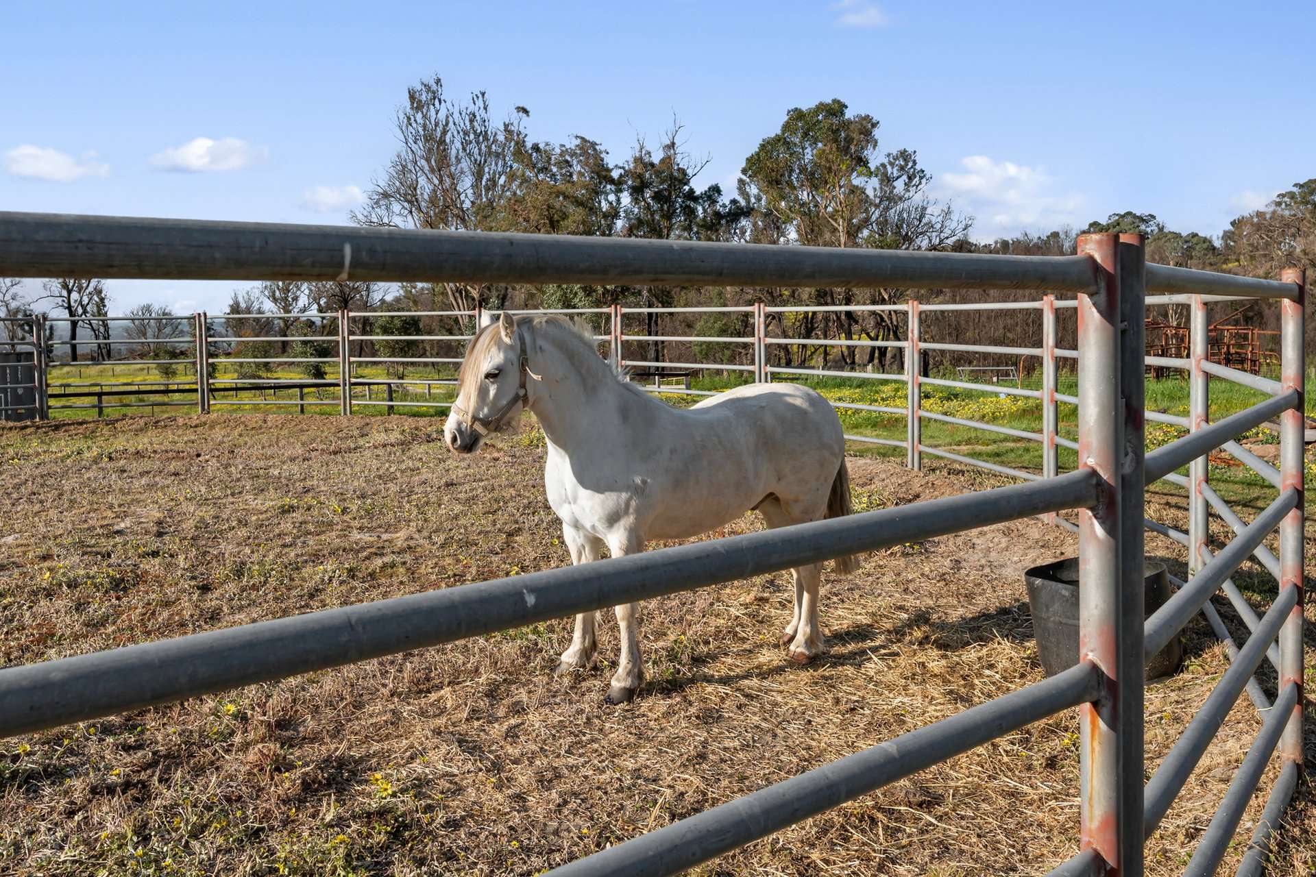1 Longwood-Ruffy Road, Ruffy For Sale by Farmbuy.com - image 6